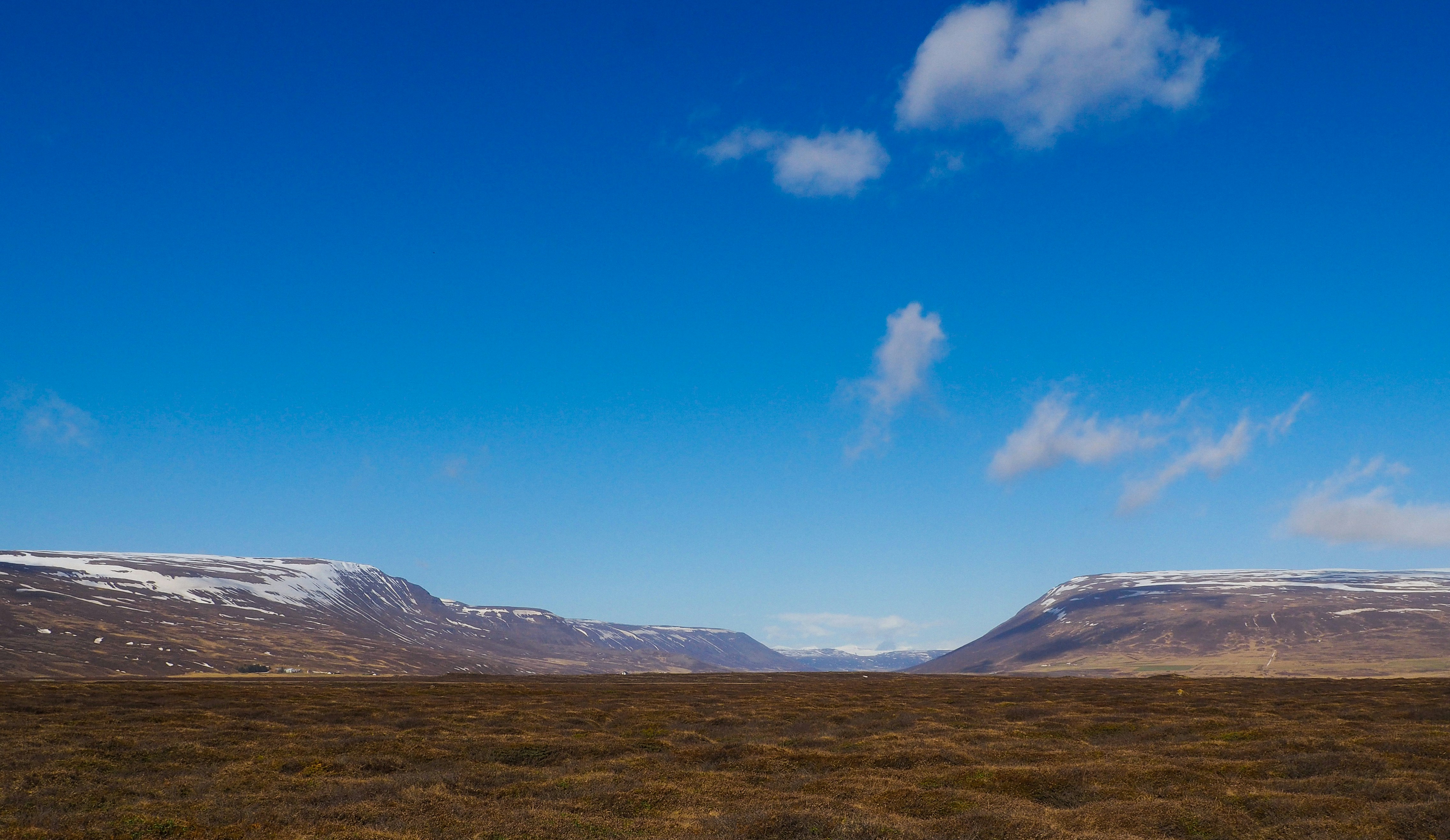 Photo by el_morillas