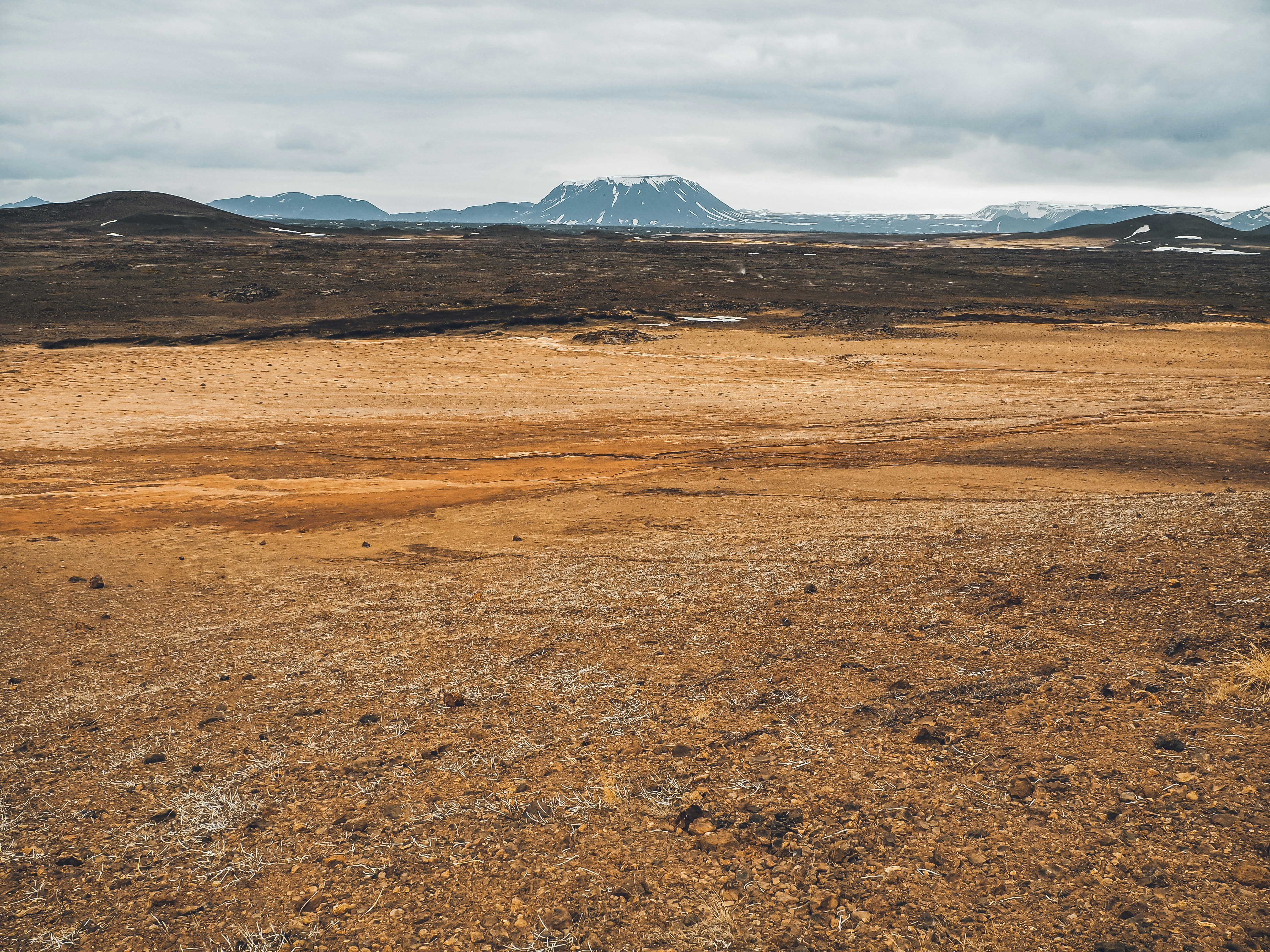 Photo by el_morillas