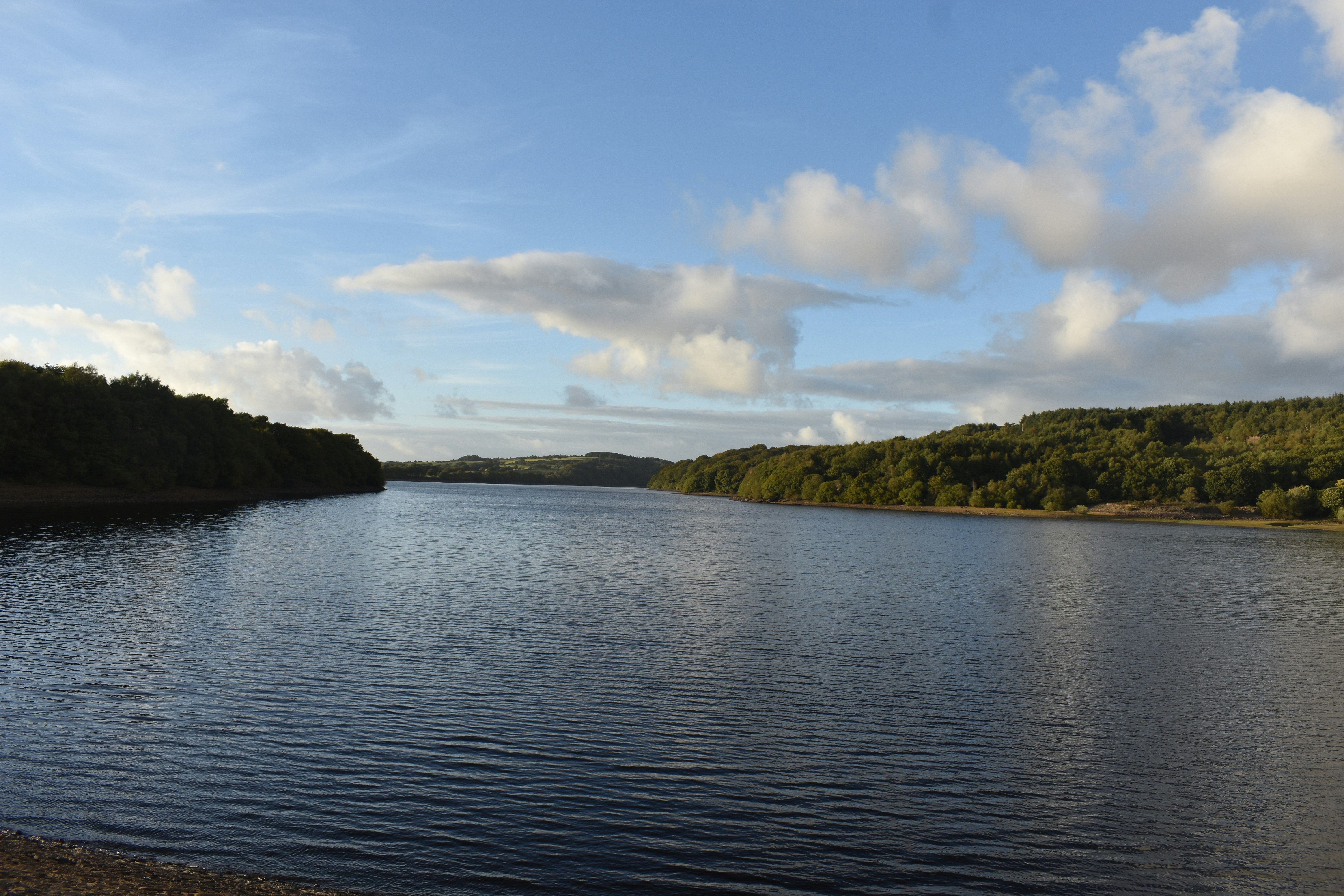 Photo by andrew_hall