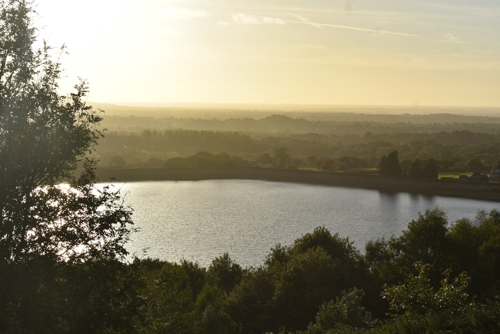 a body of water surrounded by trees