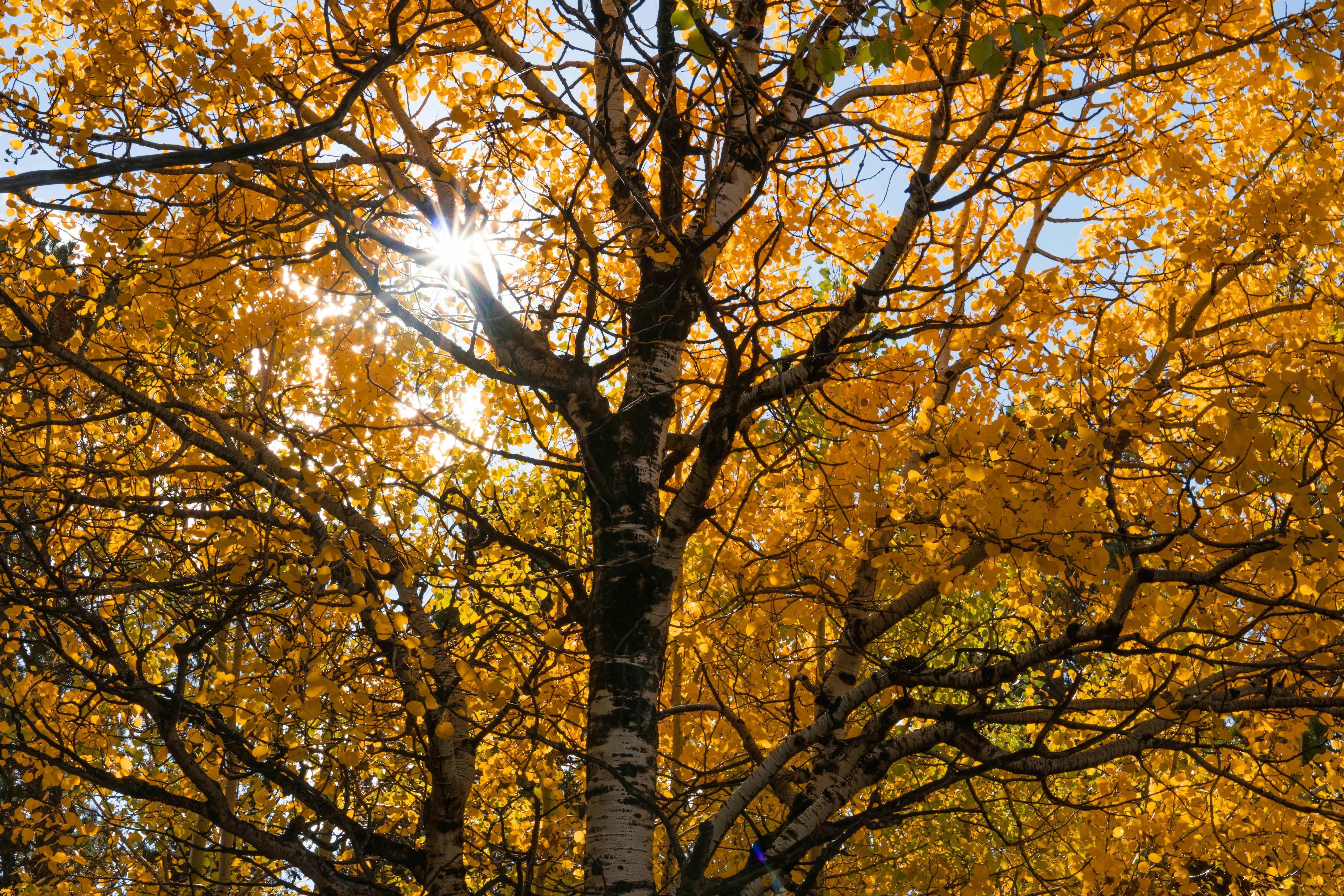 Photo by jaspergribble