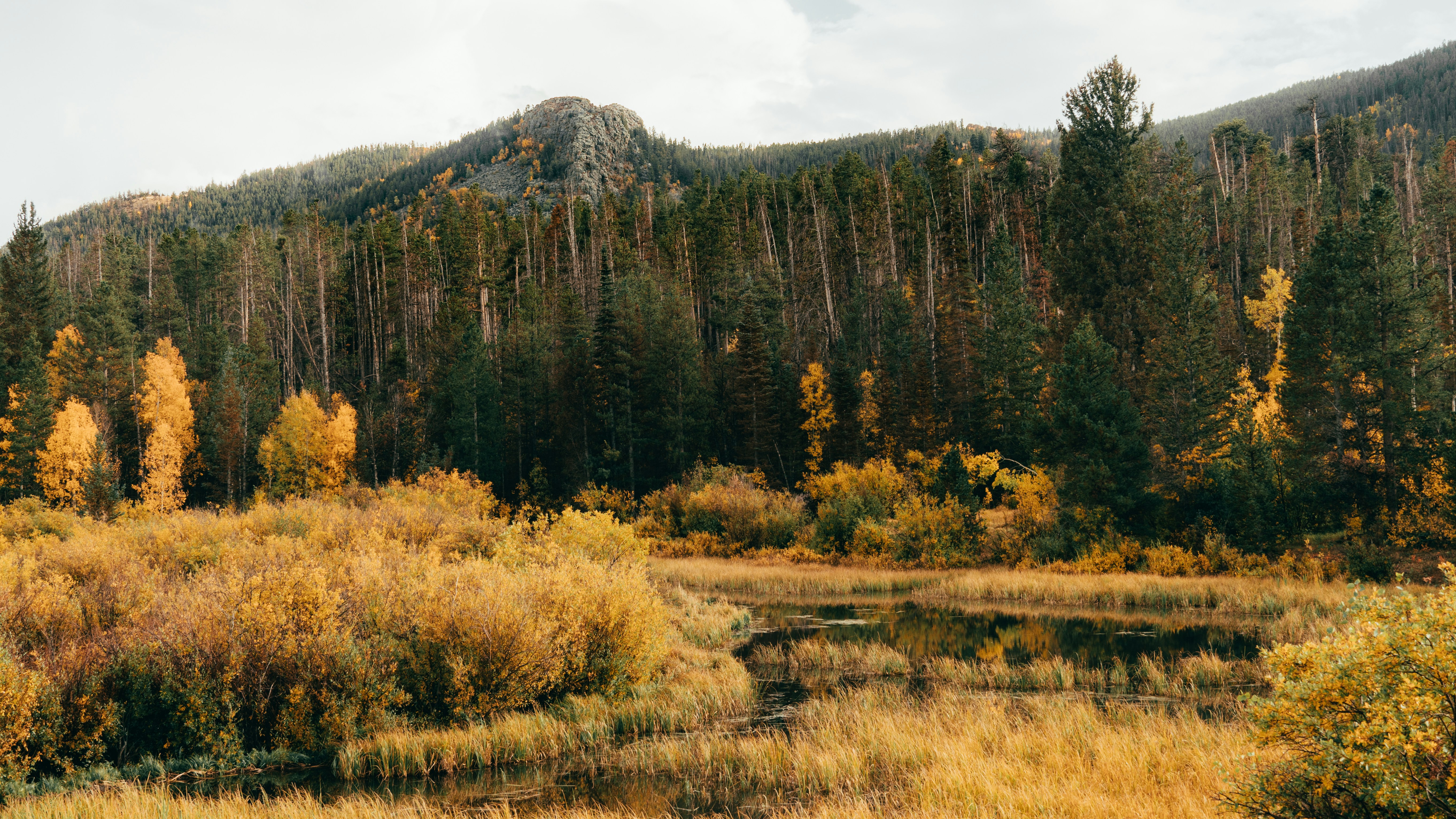 Photo by jaspergribble