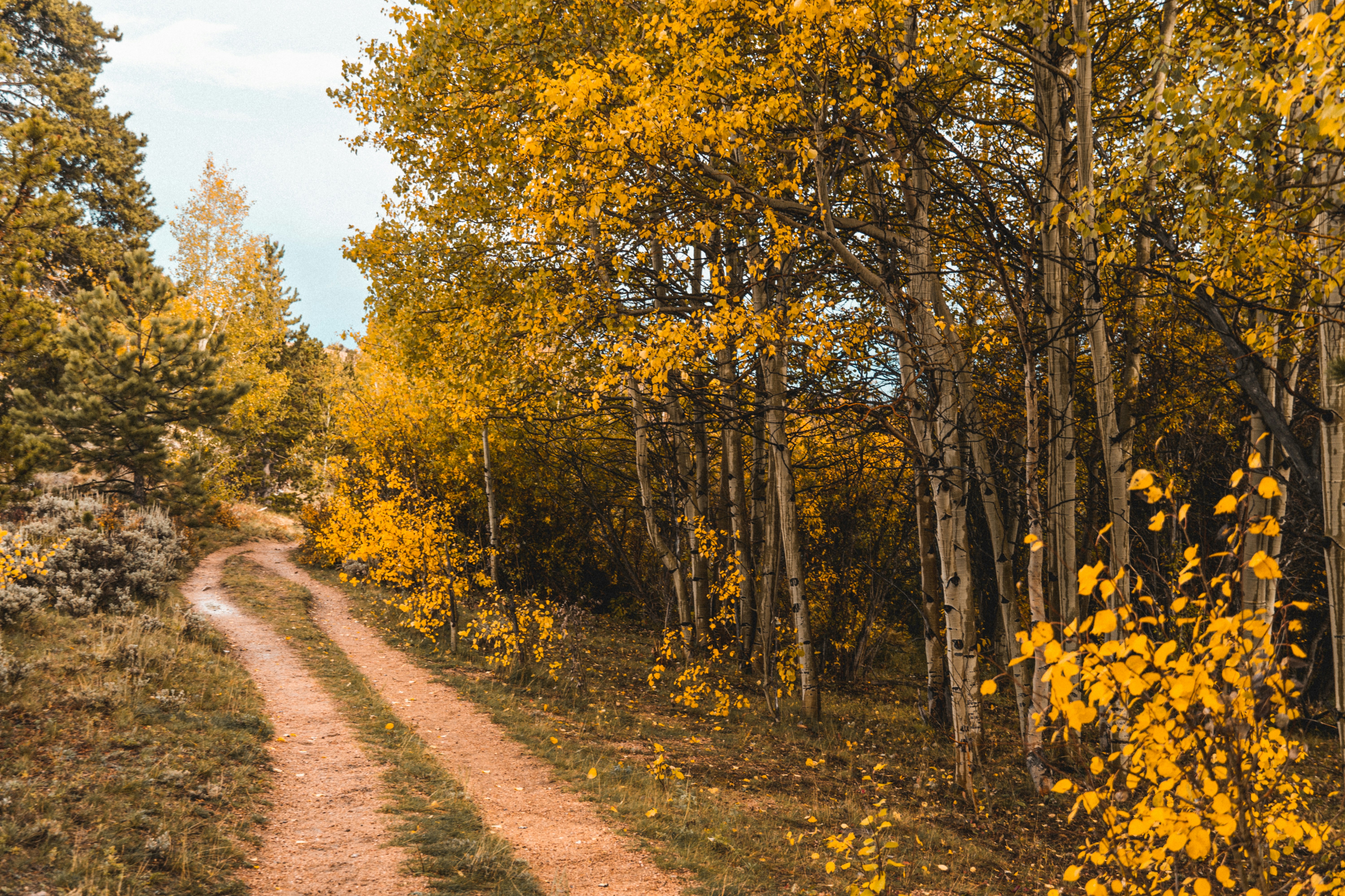 Photo by jaspergribble