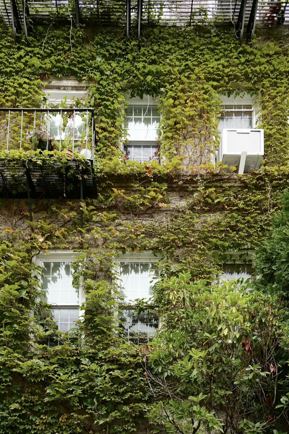 周りにたくさんの窓や植物がある建物