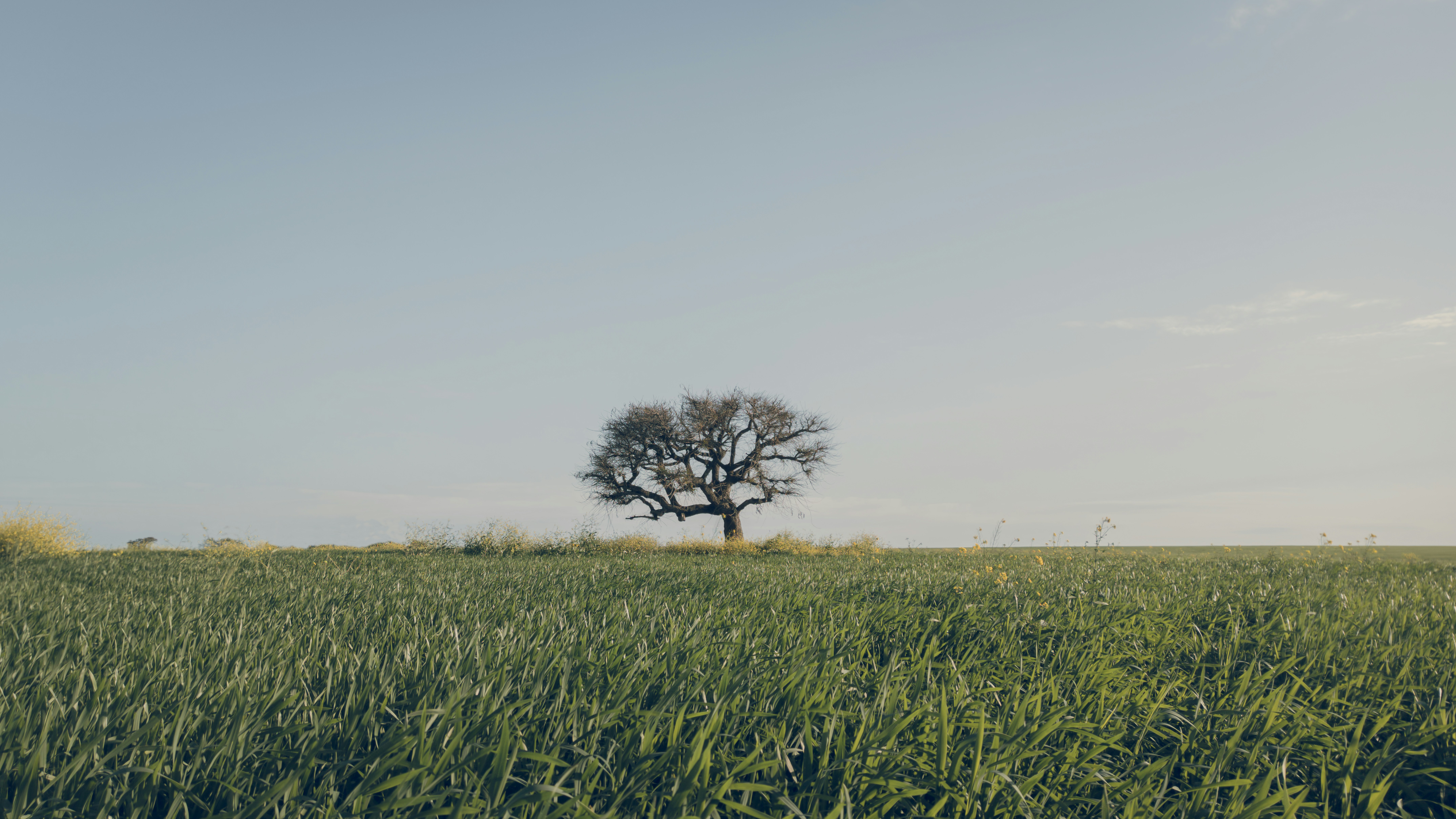 Photo by dariobonzi39