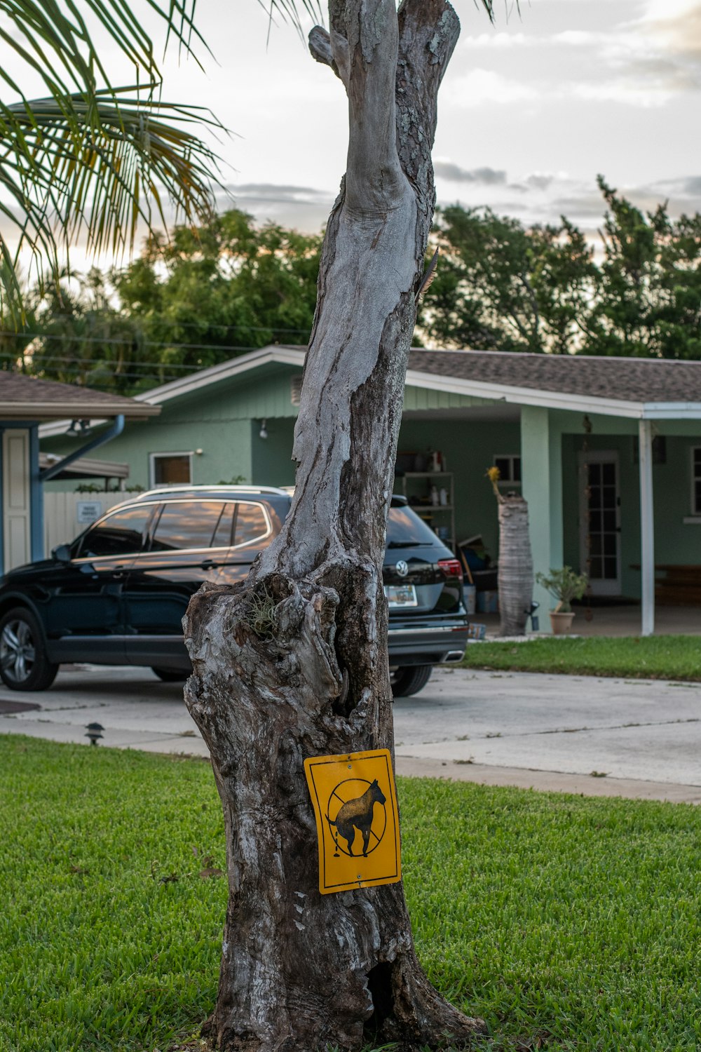 a tree with a sign on it