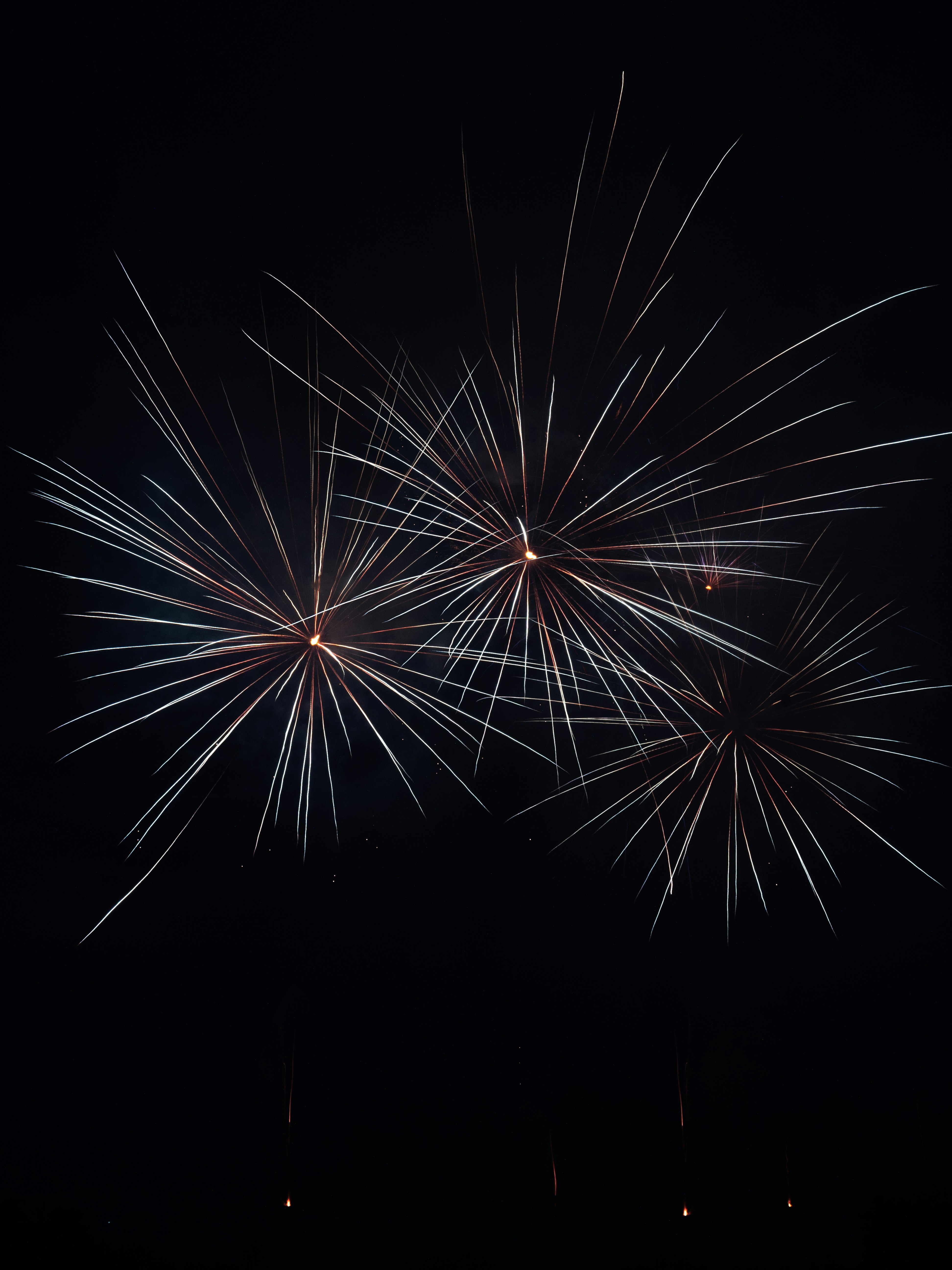 fireworks in the sky