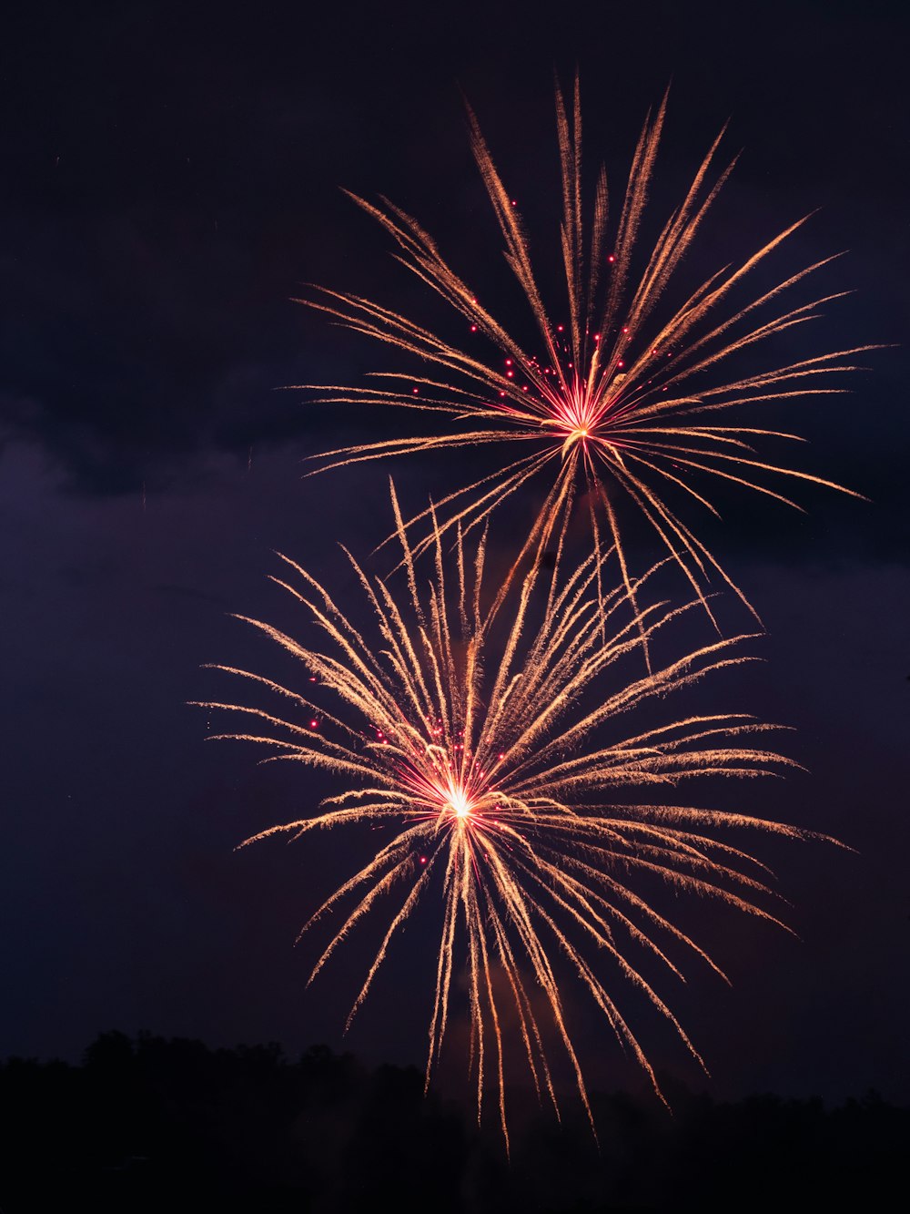 fireworks in the night sky