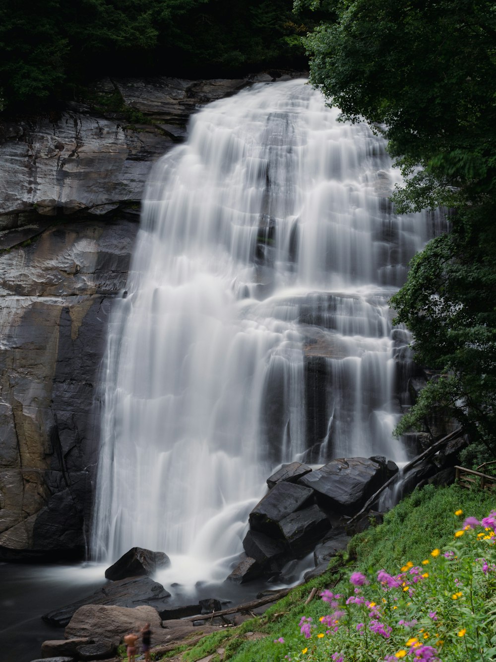 a waterfall with flowers and trees around it