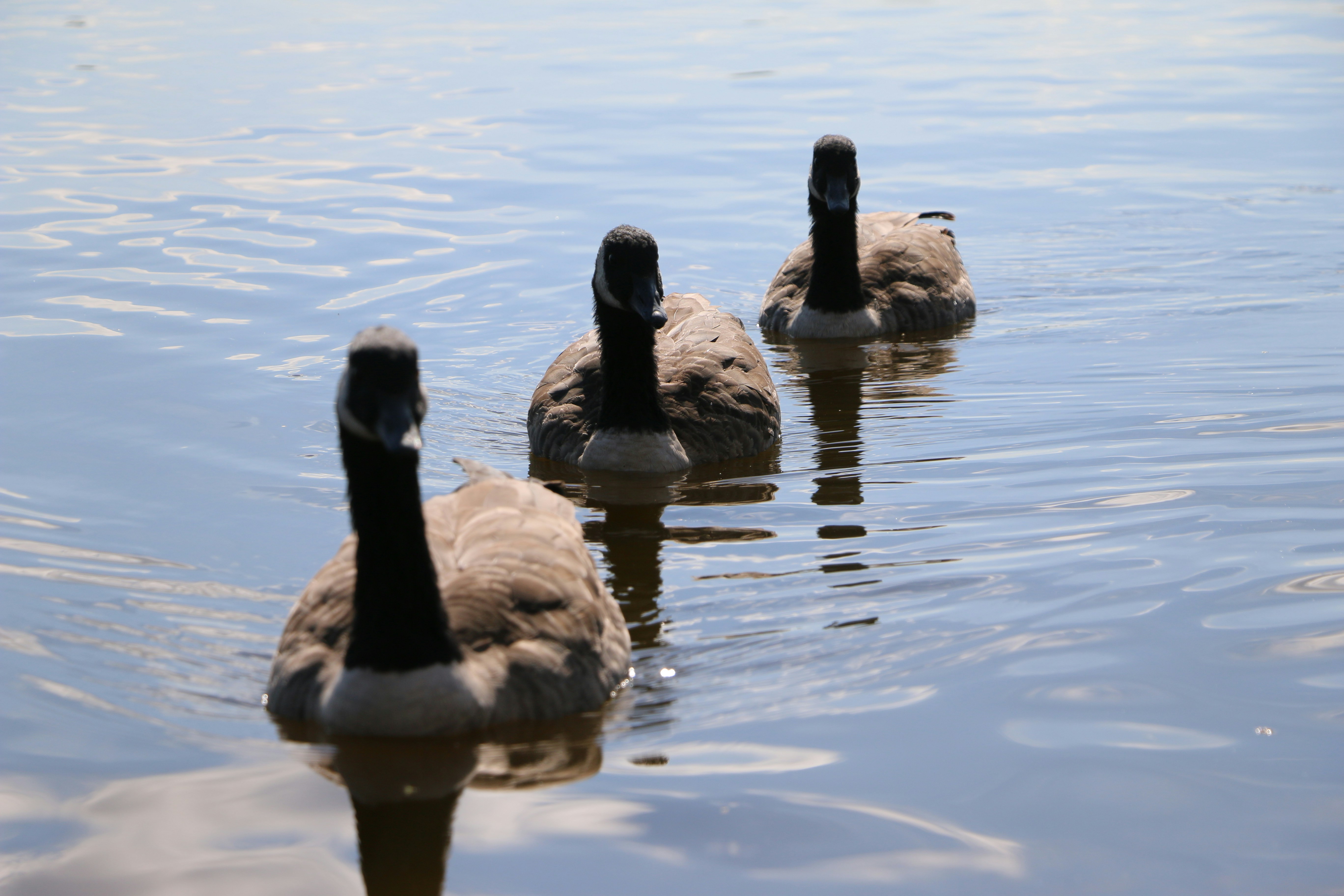 Photo by haim_charbit18