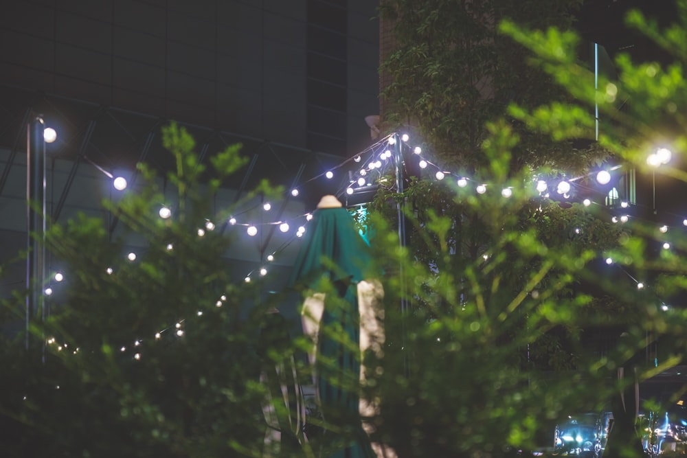 Un árbol con luces