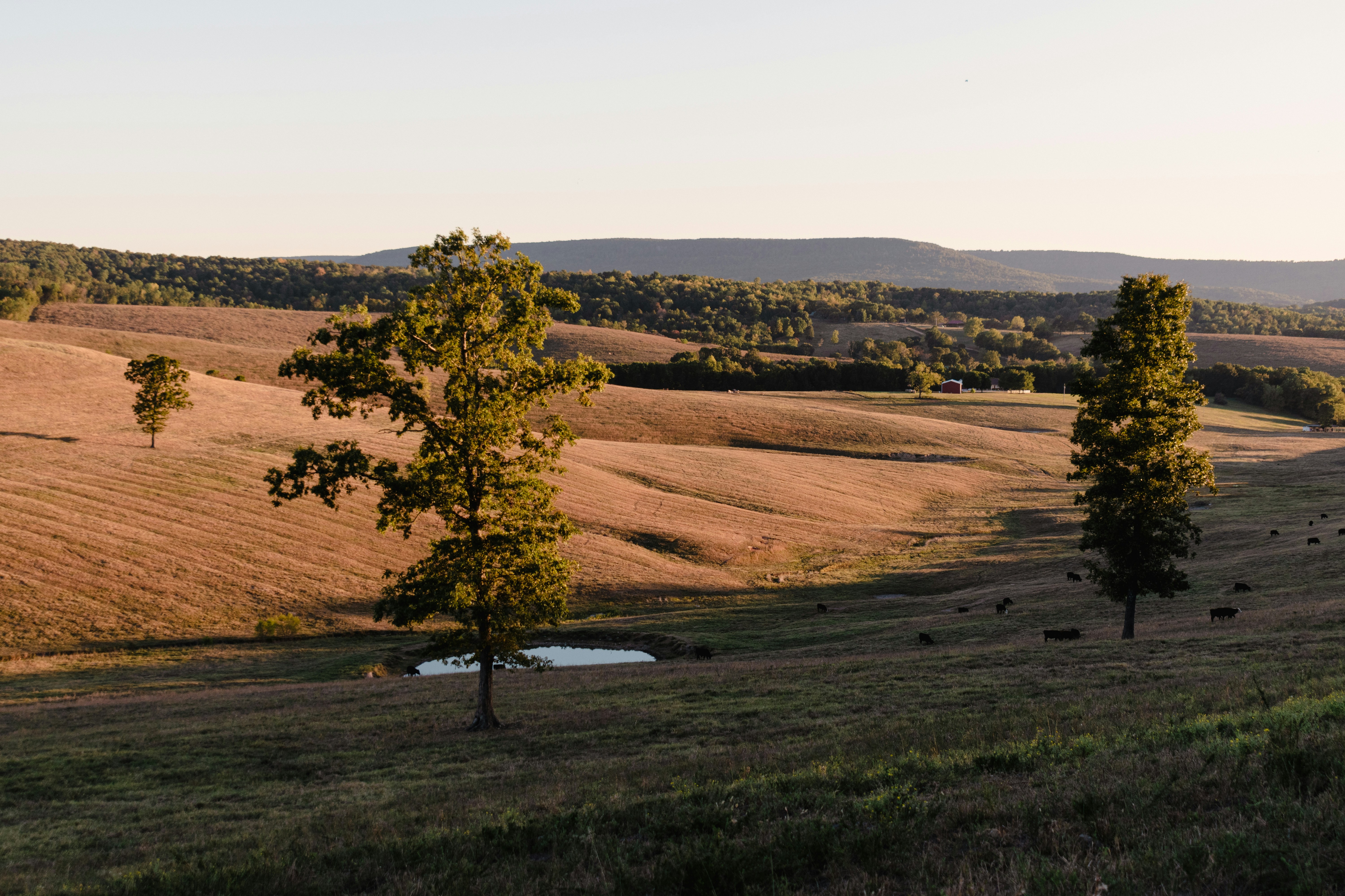 APN destination photo