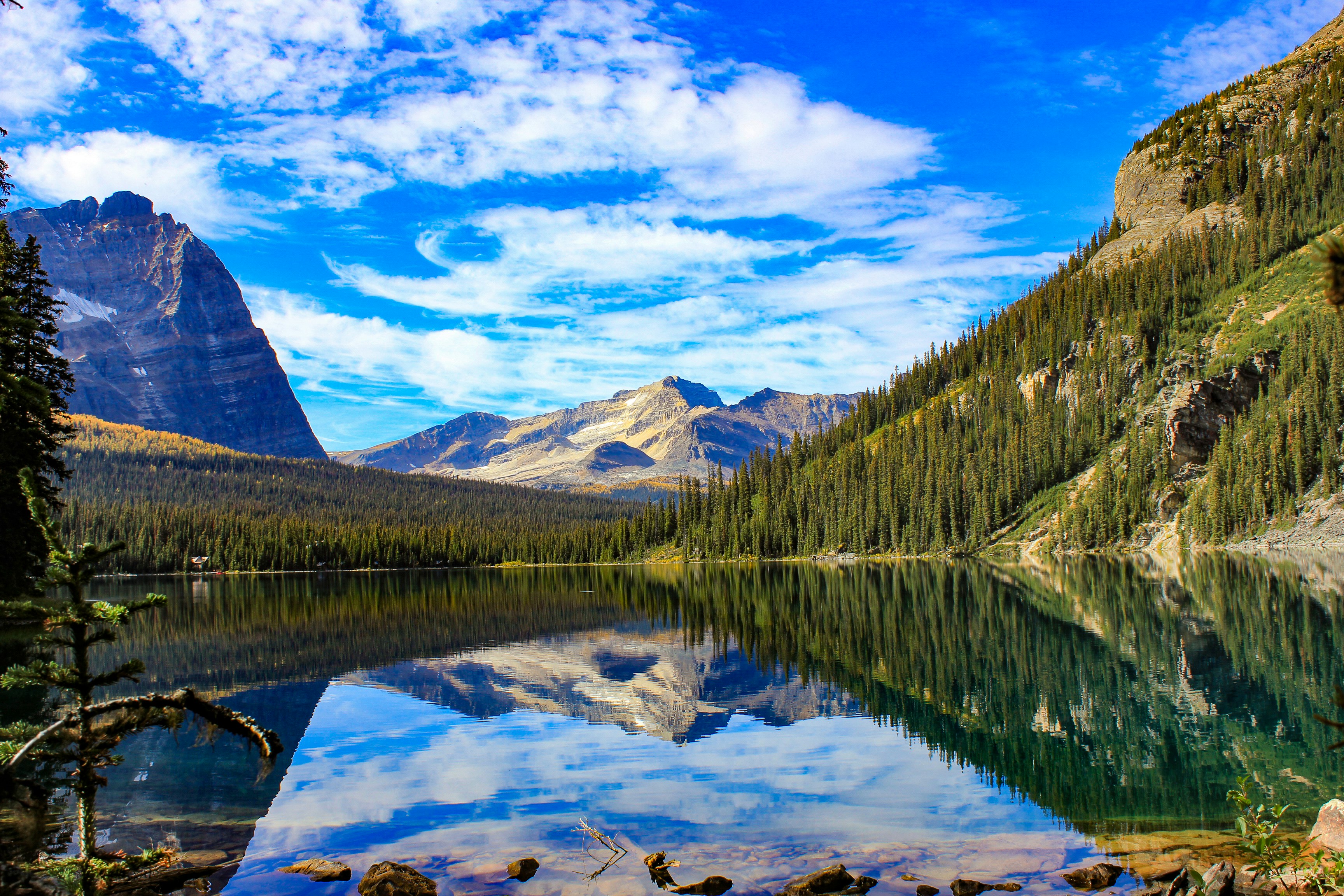 Photo by courtneypickens