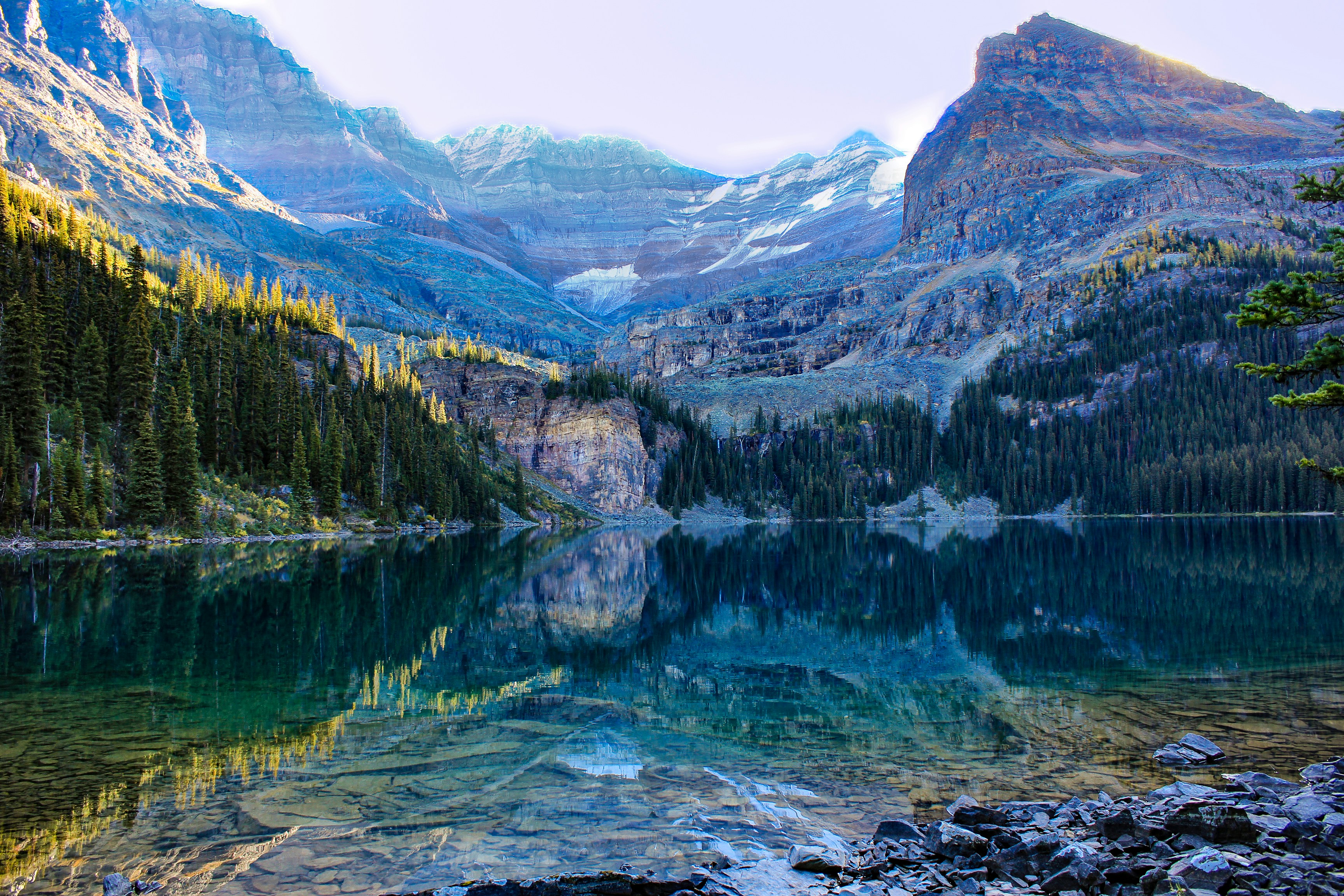 Photo by courtneypickens