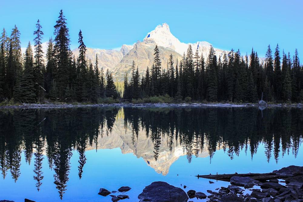 a lake with trees and mountains in the background