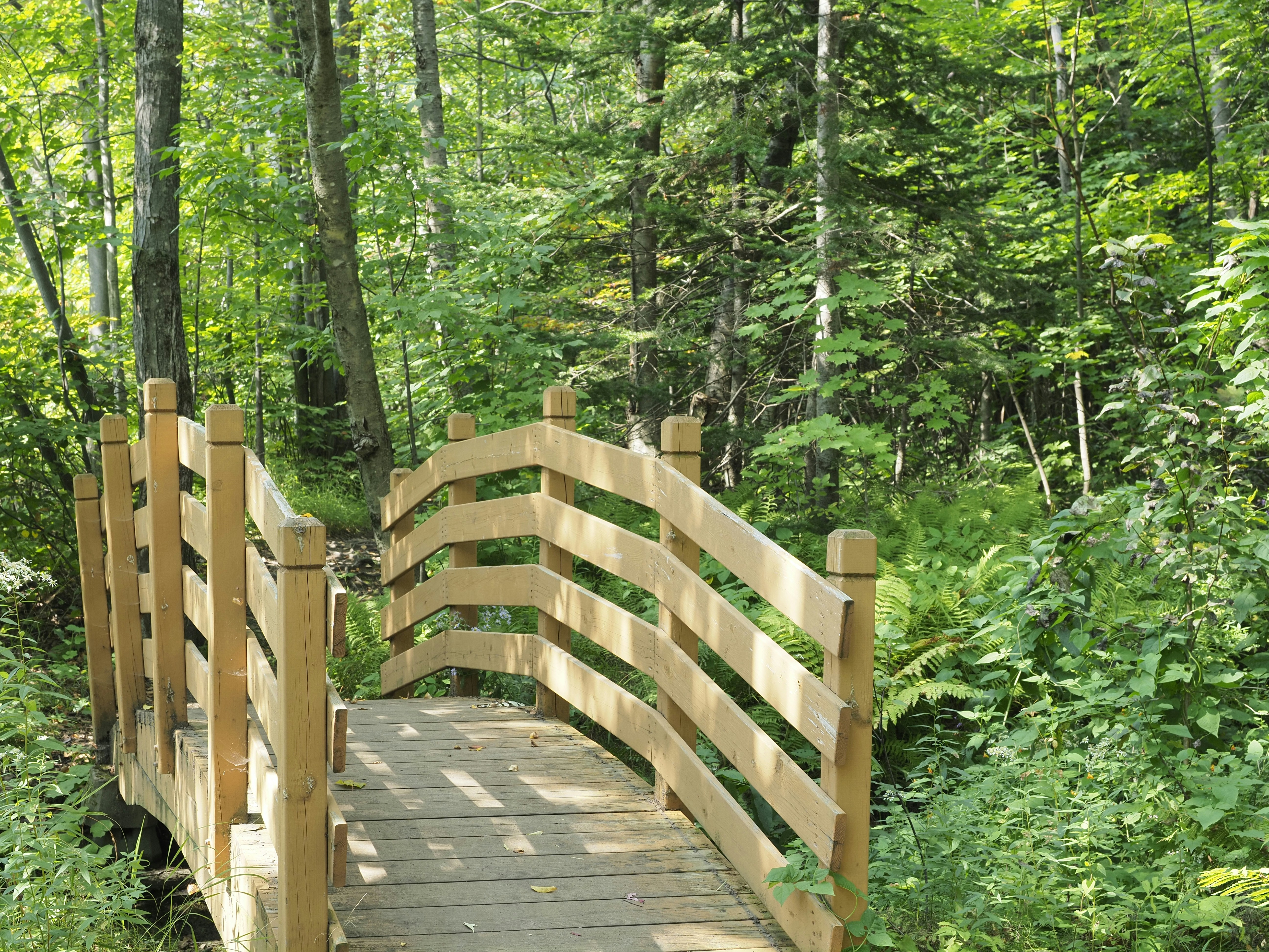 Photo by sergey_photos