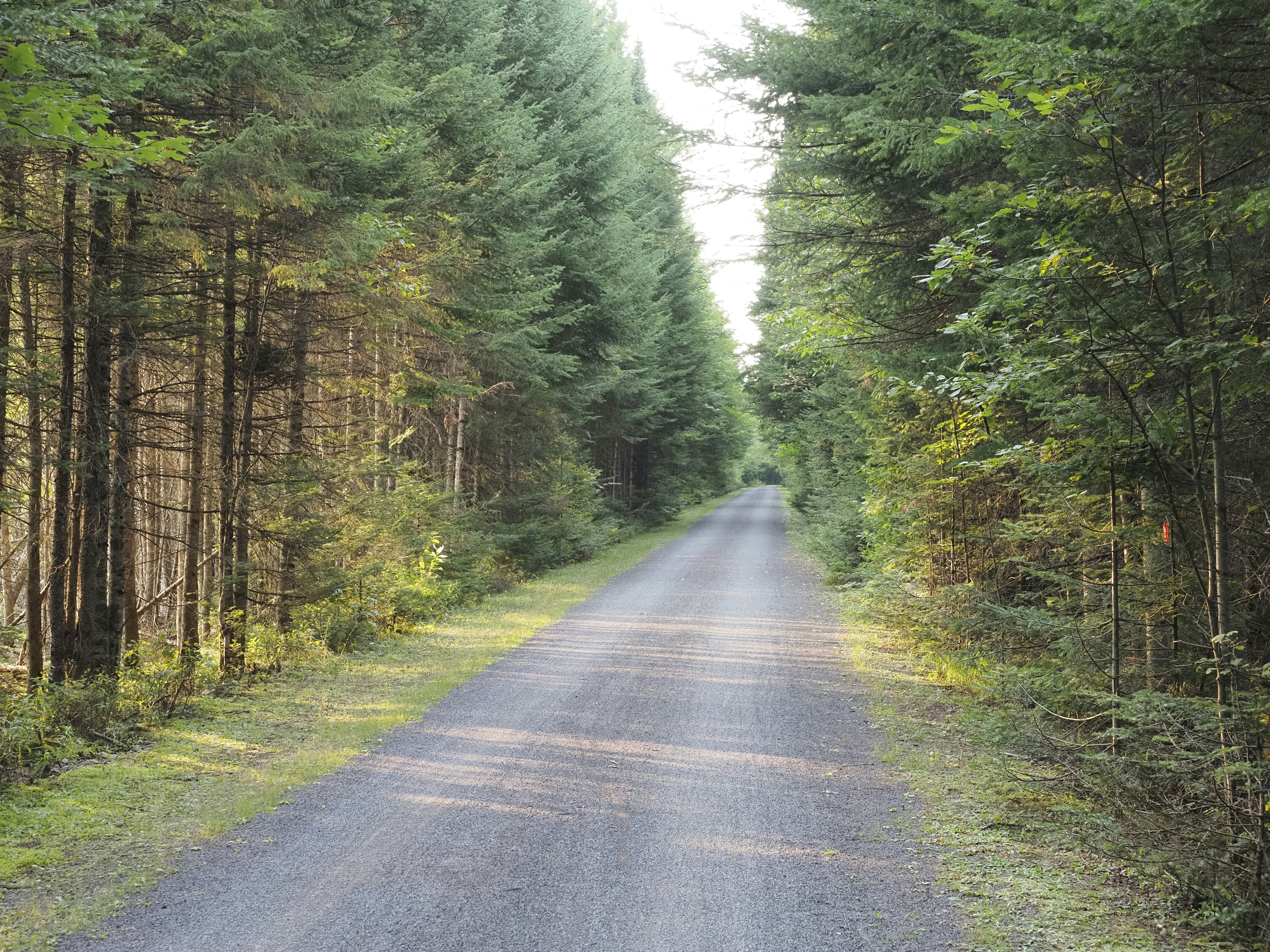 Photo by sergey_photos