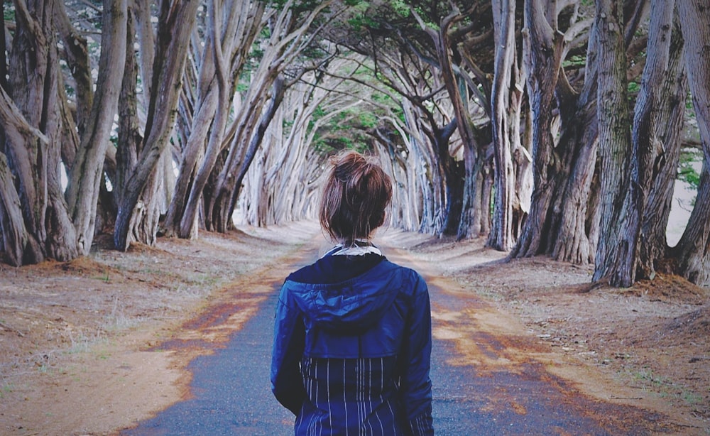 a person walking on a path in a forest