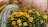 A collection of pumpkins and gourds in varying colors and shapes is surrounded by a vibrant arrangement of yellow and orange chrysanthemums. The scene is set against a backdrop of straw, contributing to an autumnal harvest theme.