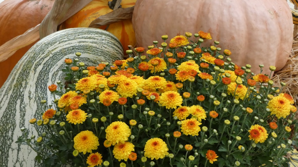 a person holding a bunch of yellow flowers