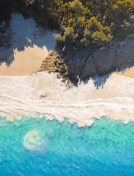 a rocky cliff with trees on it