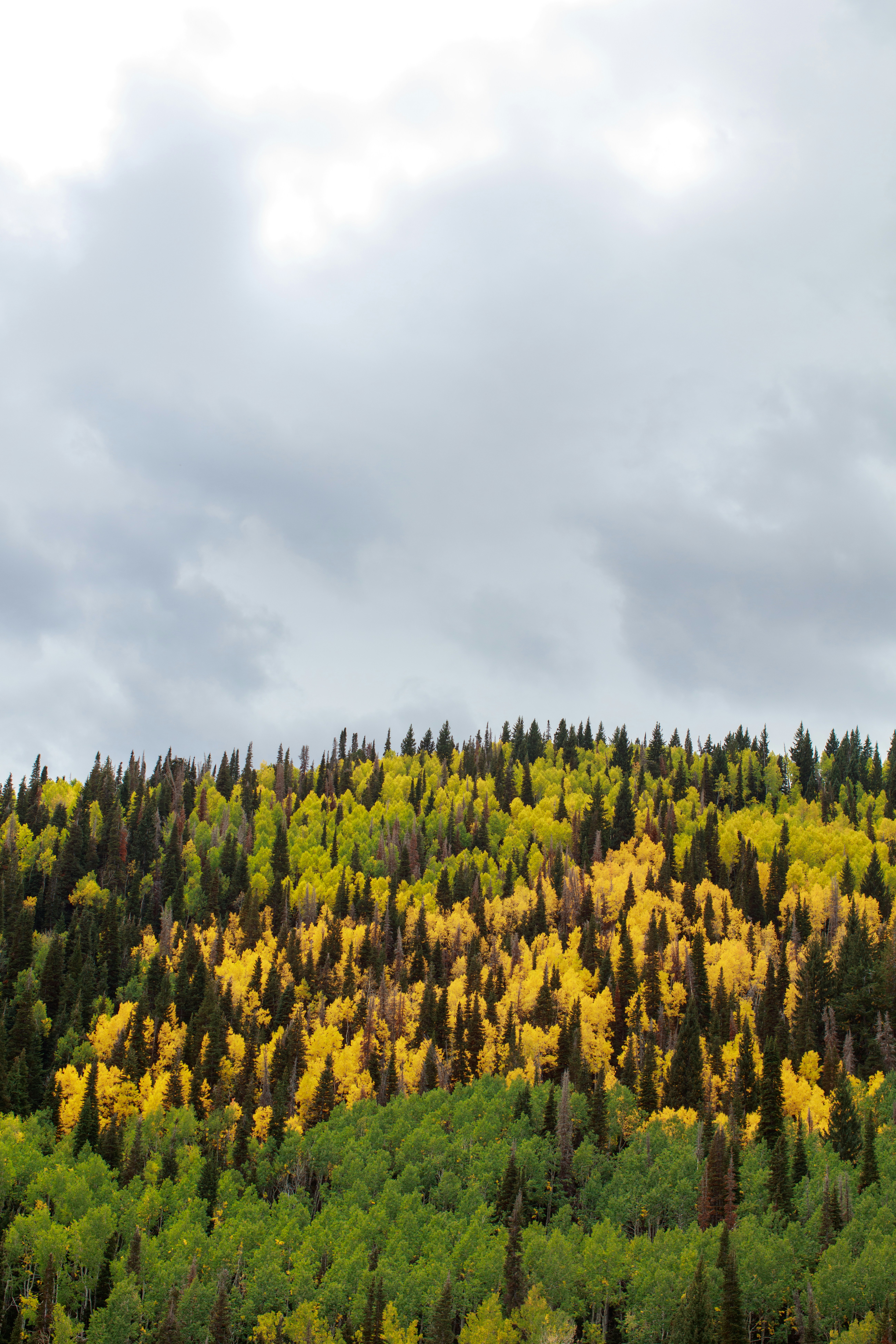 Photo by worldsbetweenlines