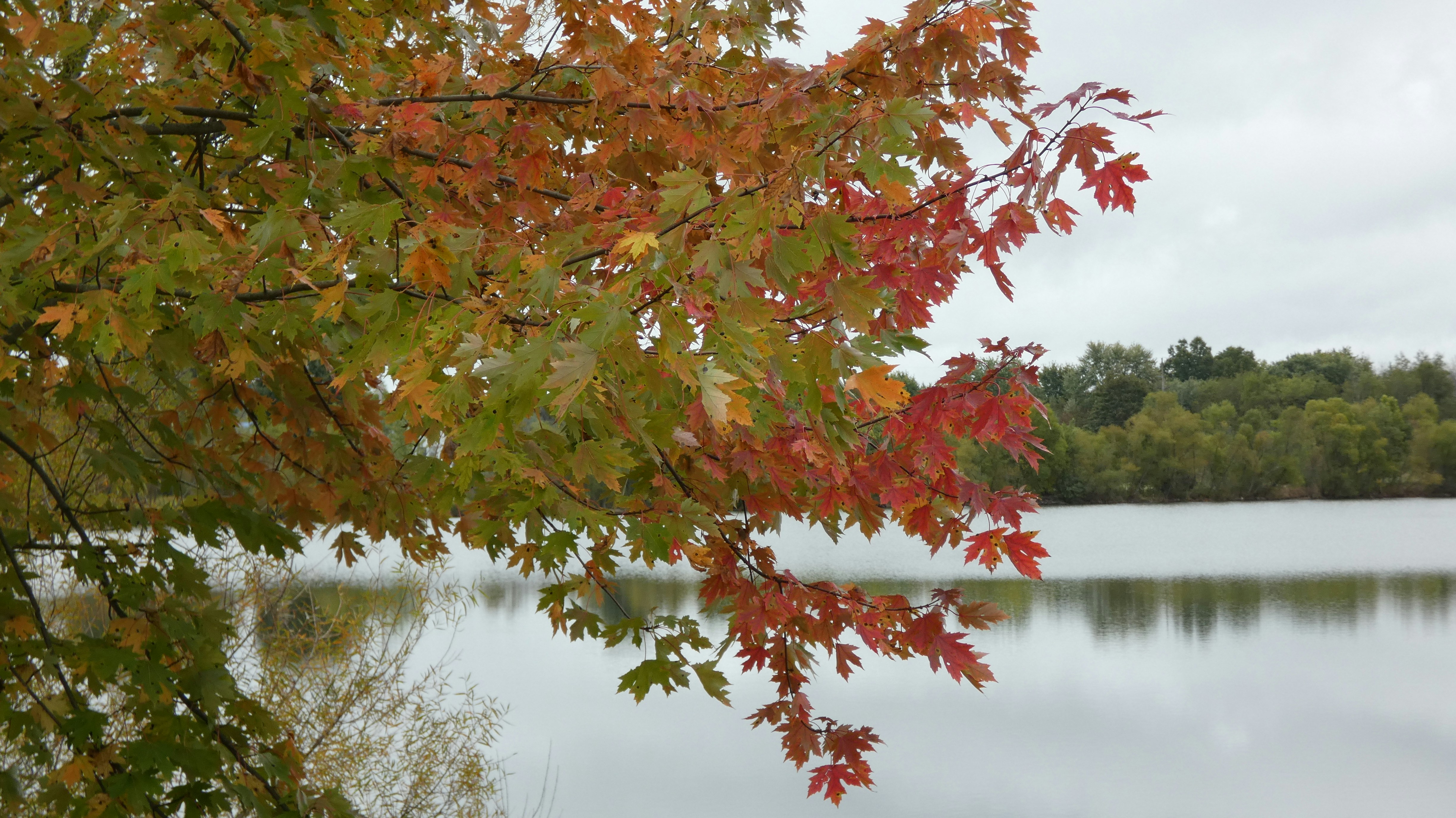 Photo by kimberlymeans