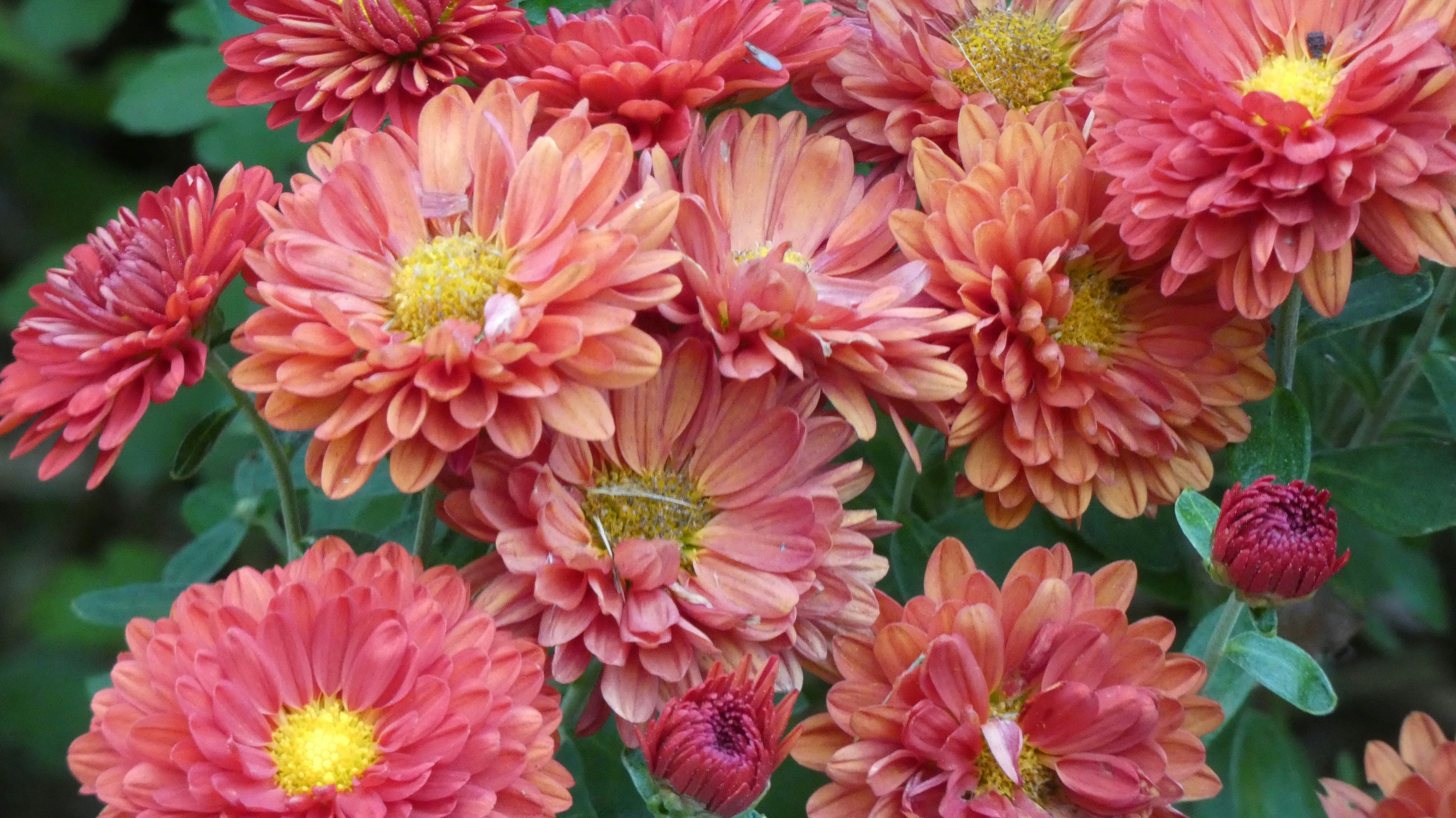 Photo by kimberlymeans