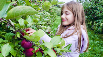 a person holding a red apple