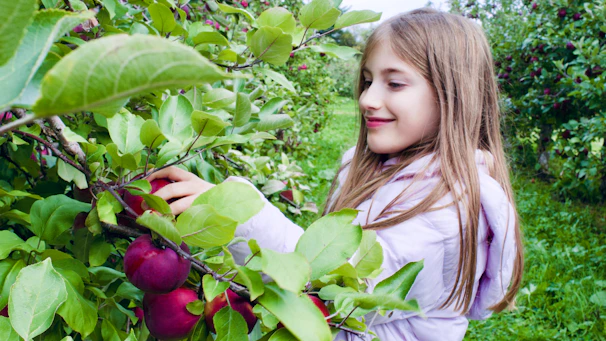 a person holding a red apple