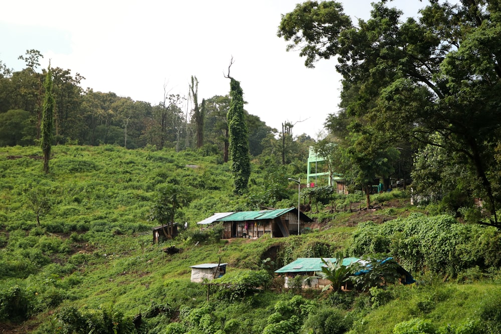 a group of buildings in a grassy area with trees around it