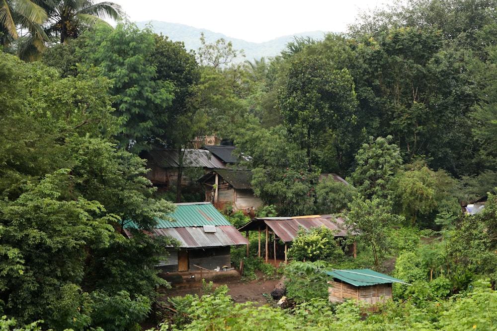 a group of houses surrounded by trees