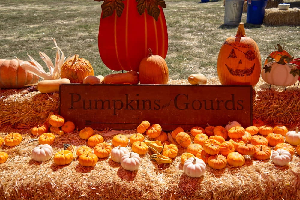 a group of pumpkins with carved faces