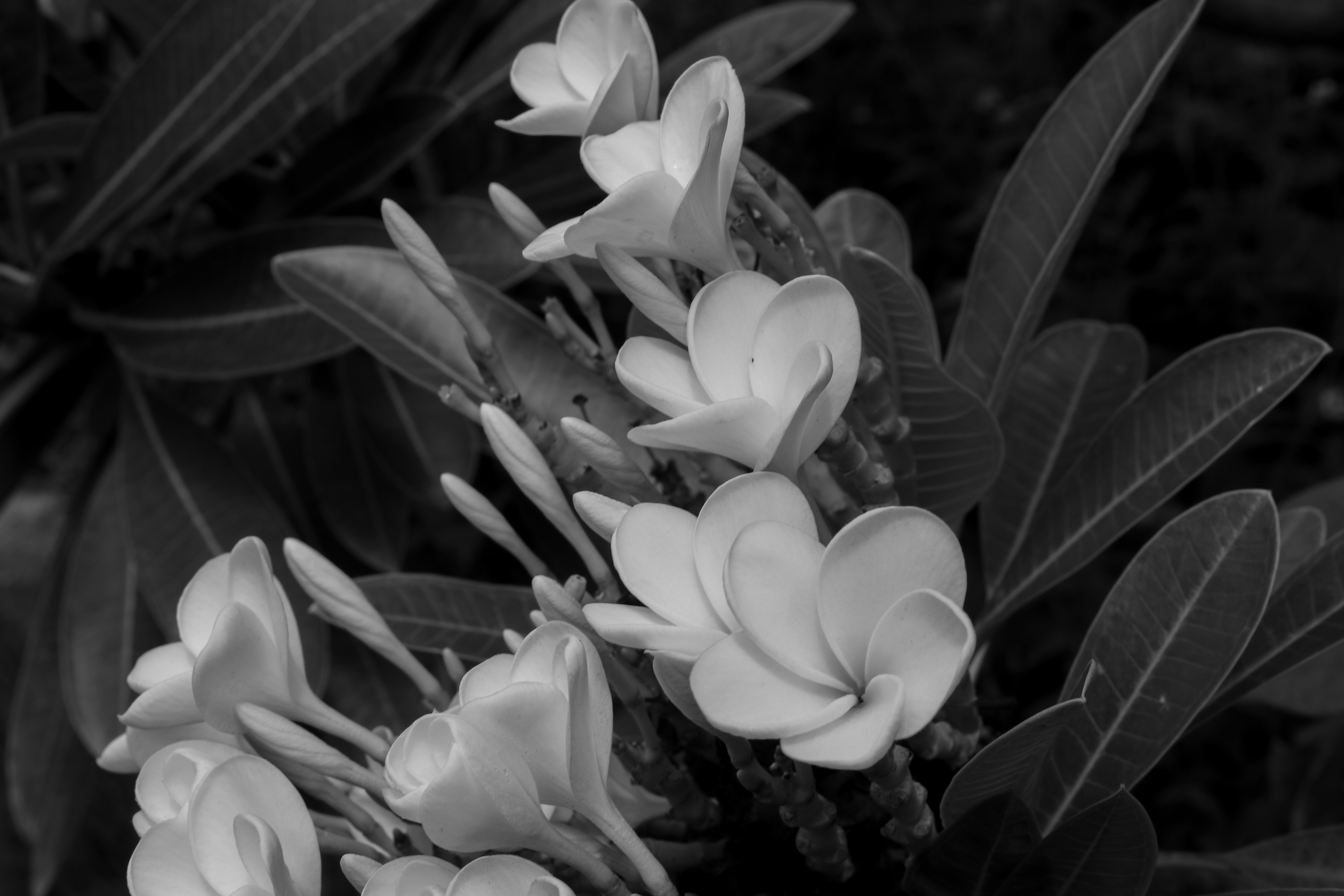 Photo by _gautam_clicks_