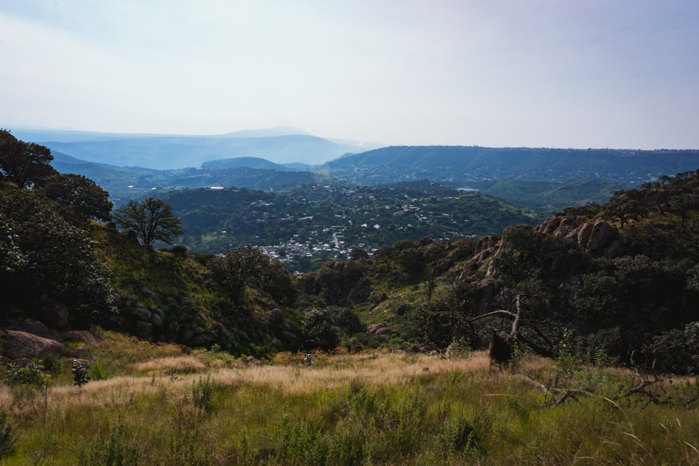 une zone herbeuse avec des arbres et des montagnes en arrière-plan