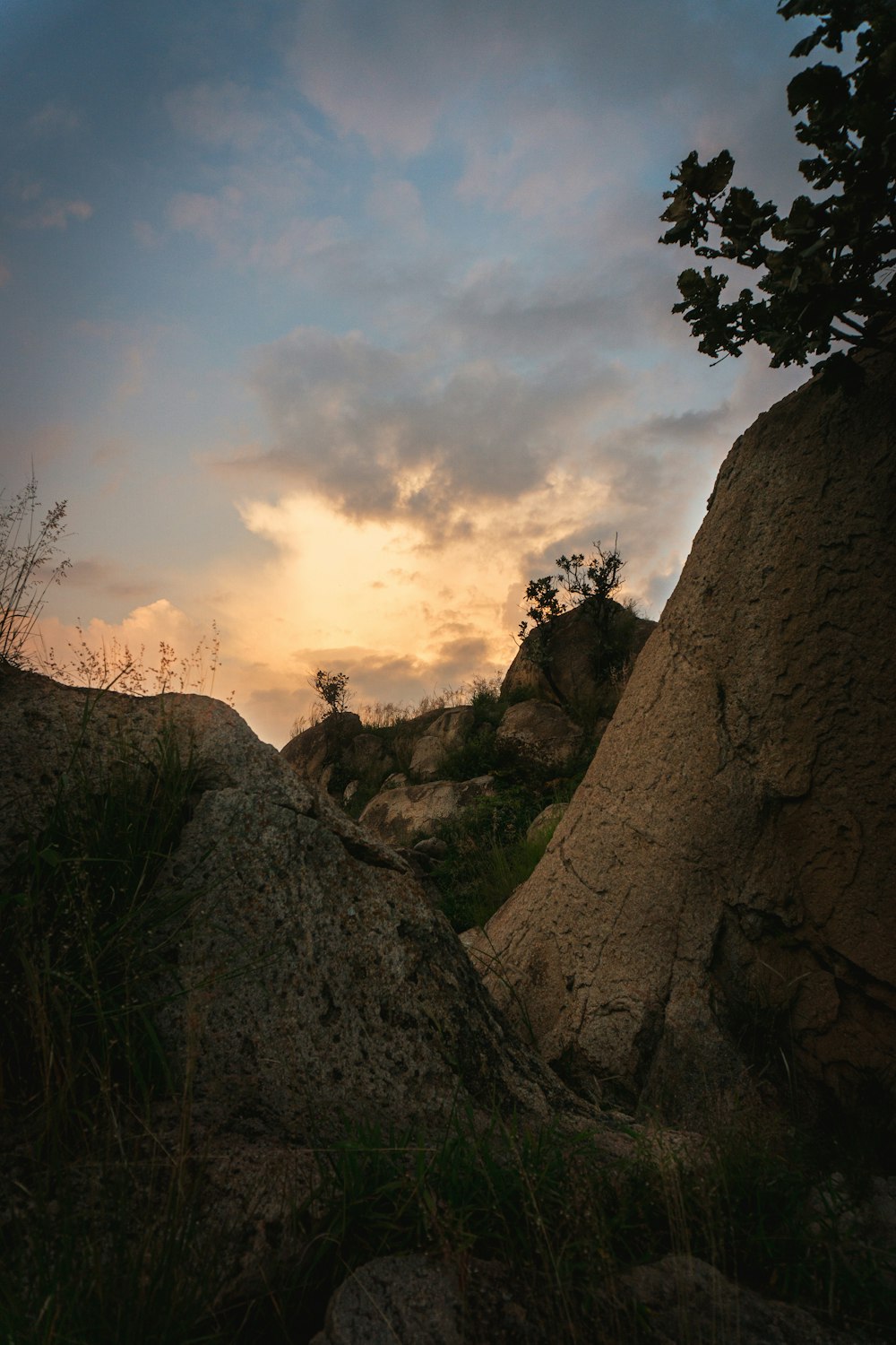 a rocky cliff with trees and a cloudy sky