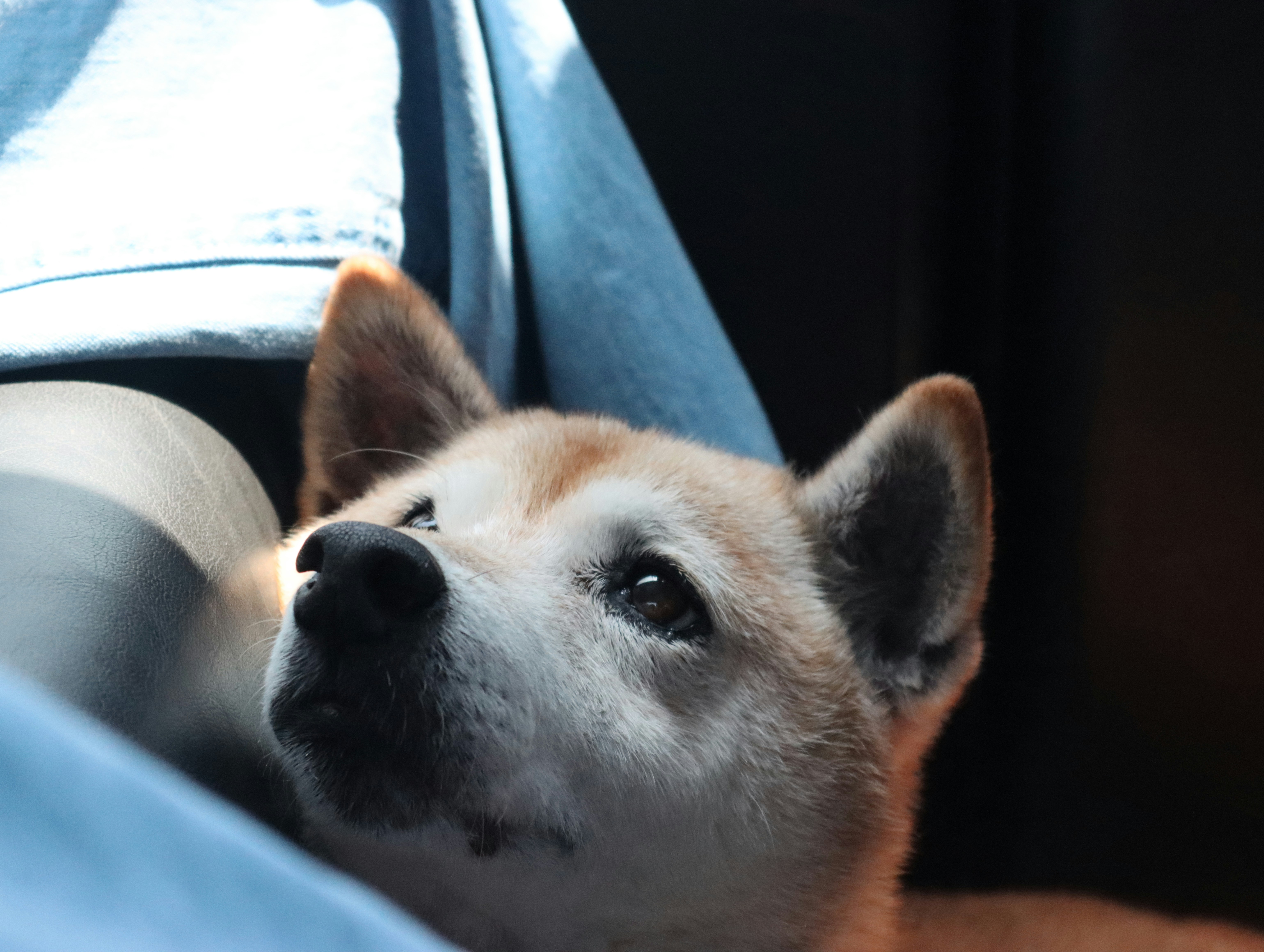 Stress Responses in Saliva Production