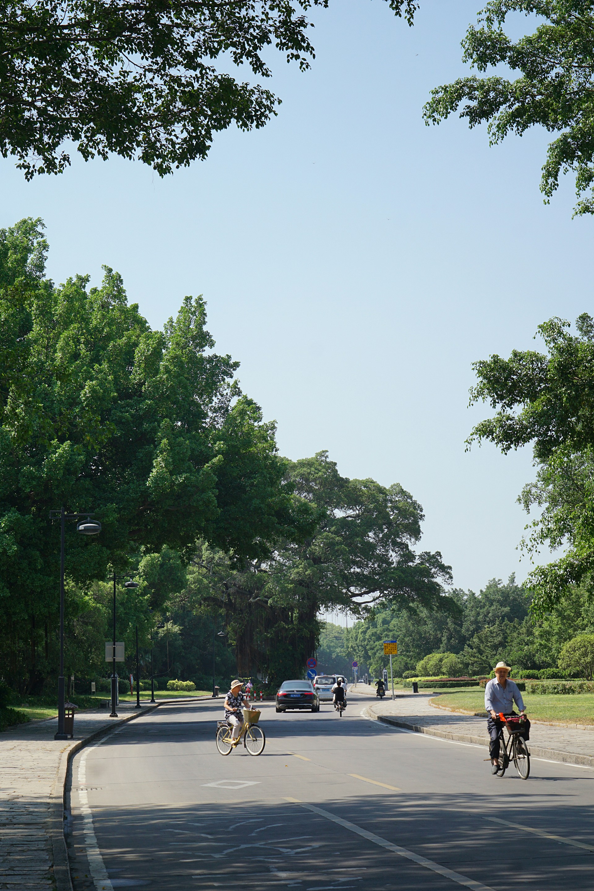 A vibrant scene of cyclists riding through lush green trails in Bangkachao, surrounded by towering nipa palm trees under a bright blue sky.