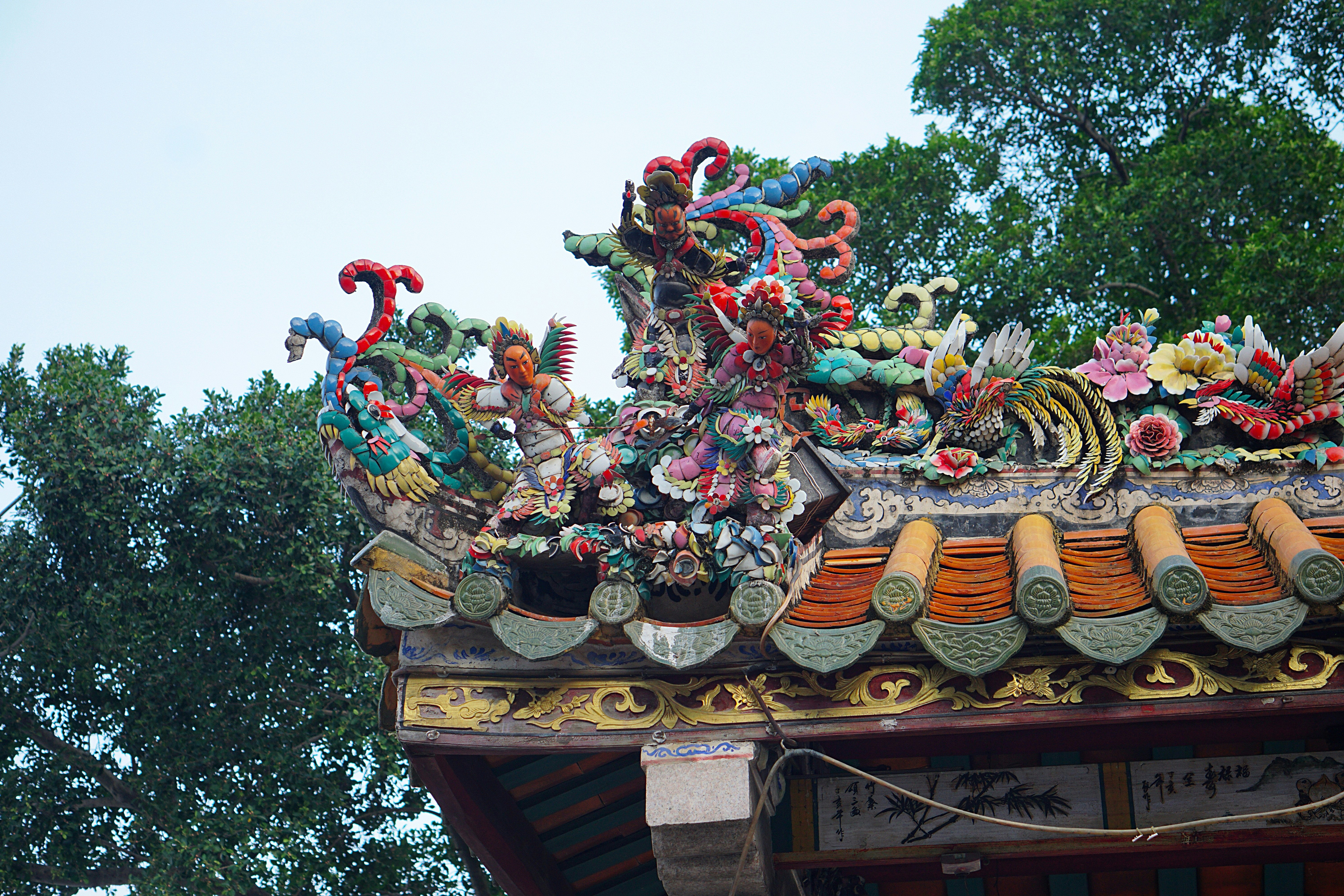 Photo by rippleqian2020