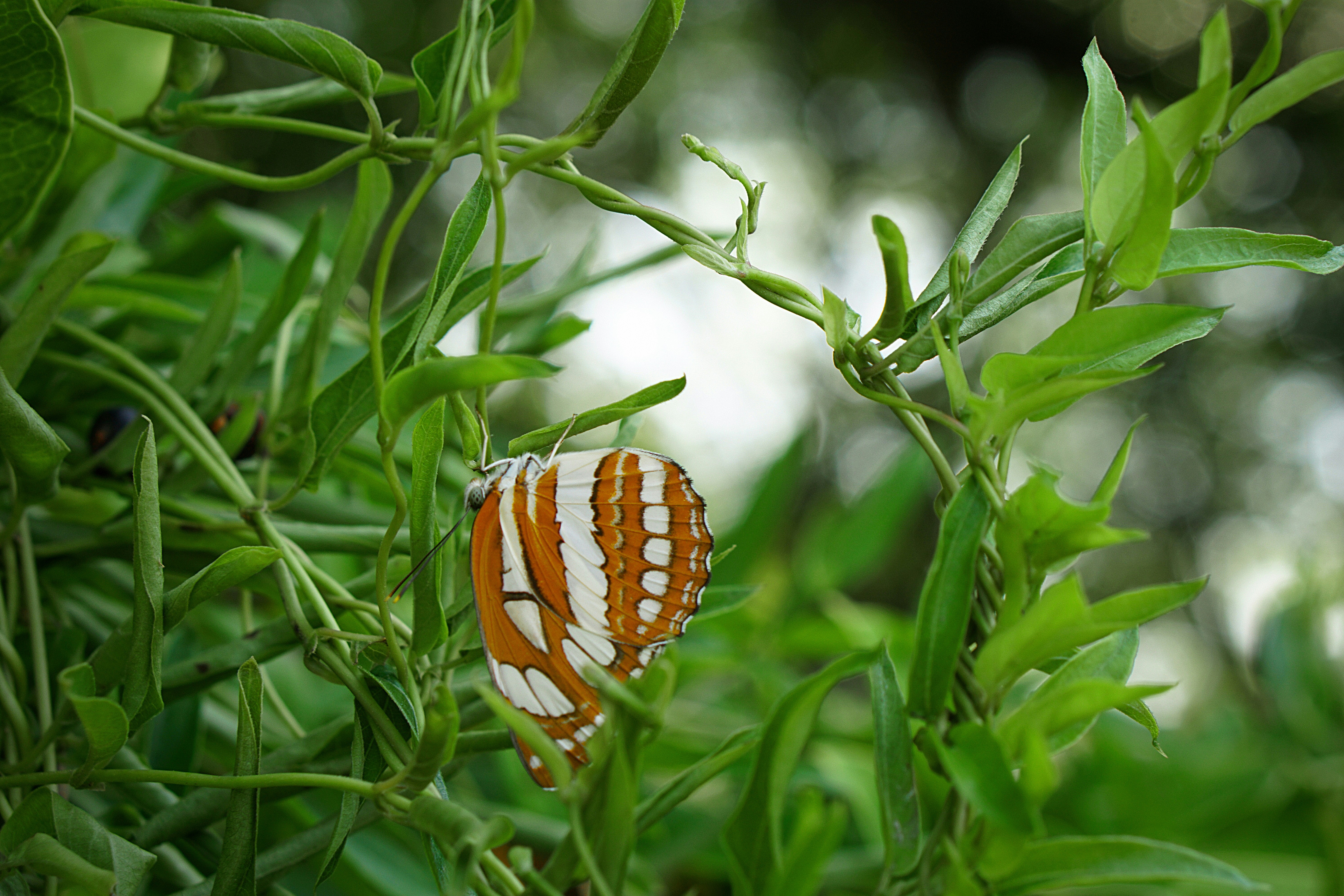 Photo by rippleqian2020