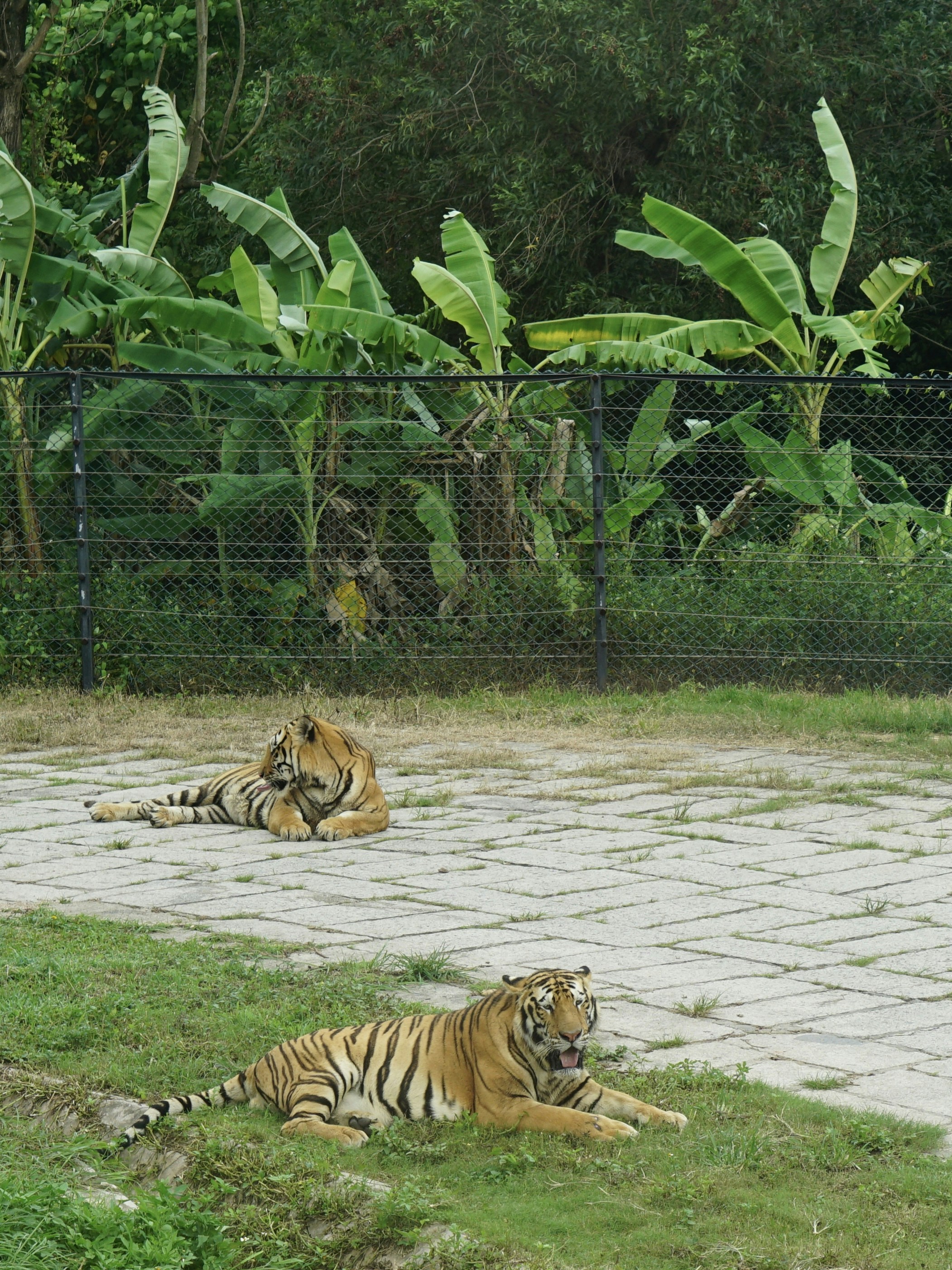 Community Guardians (image credits: unsplash)