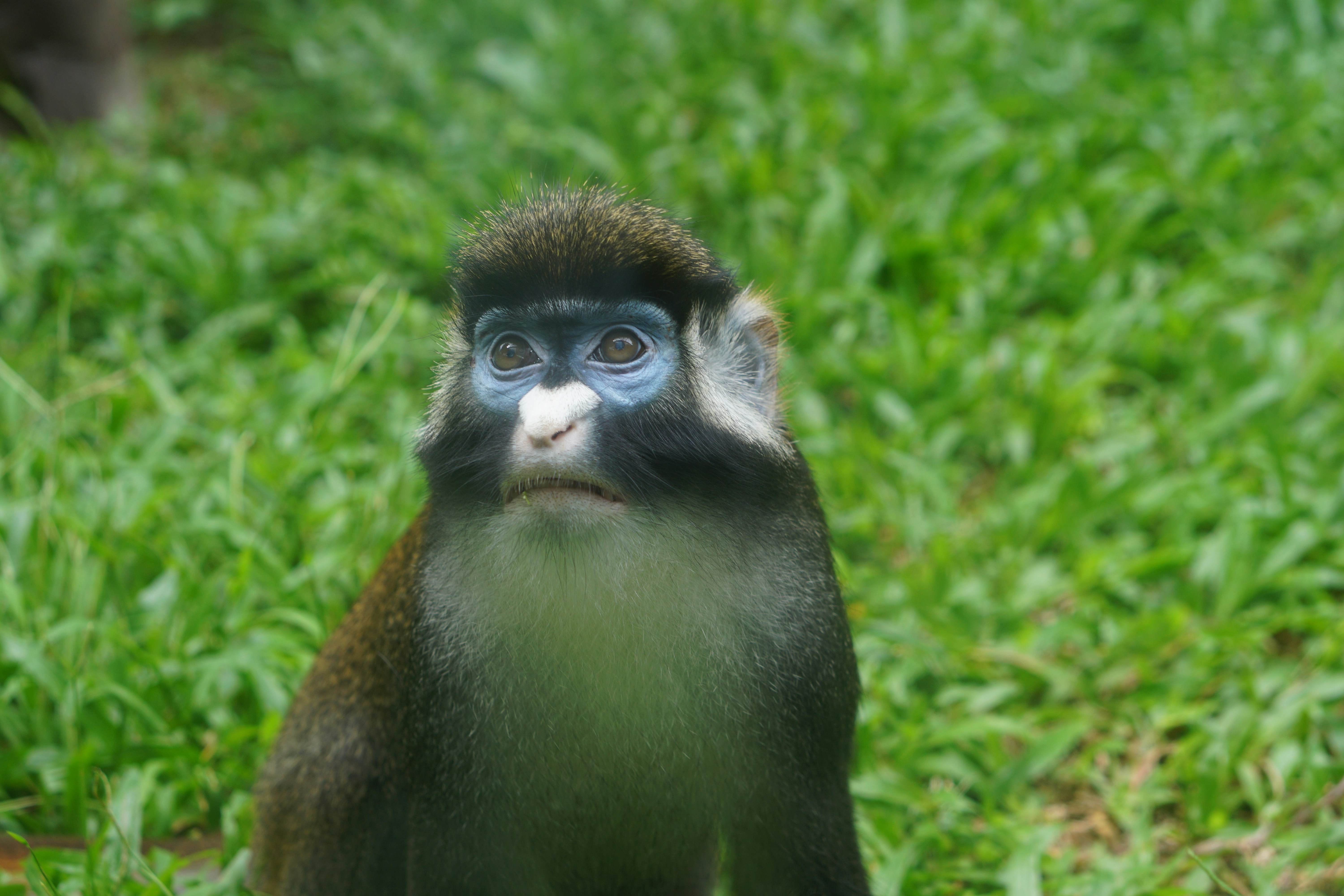 Photo by rippleqian2020