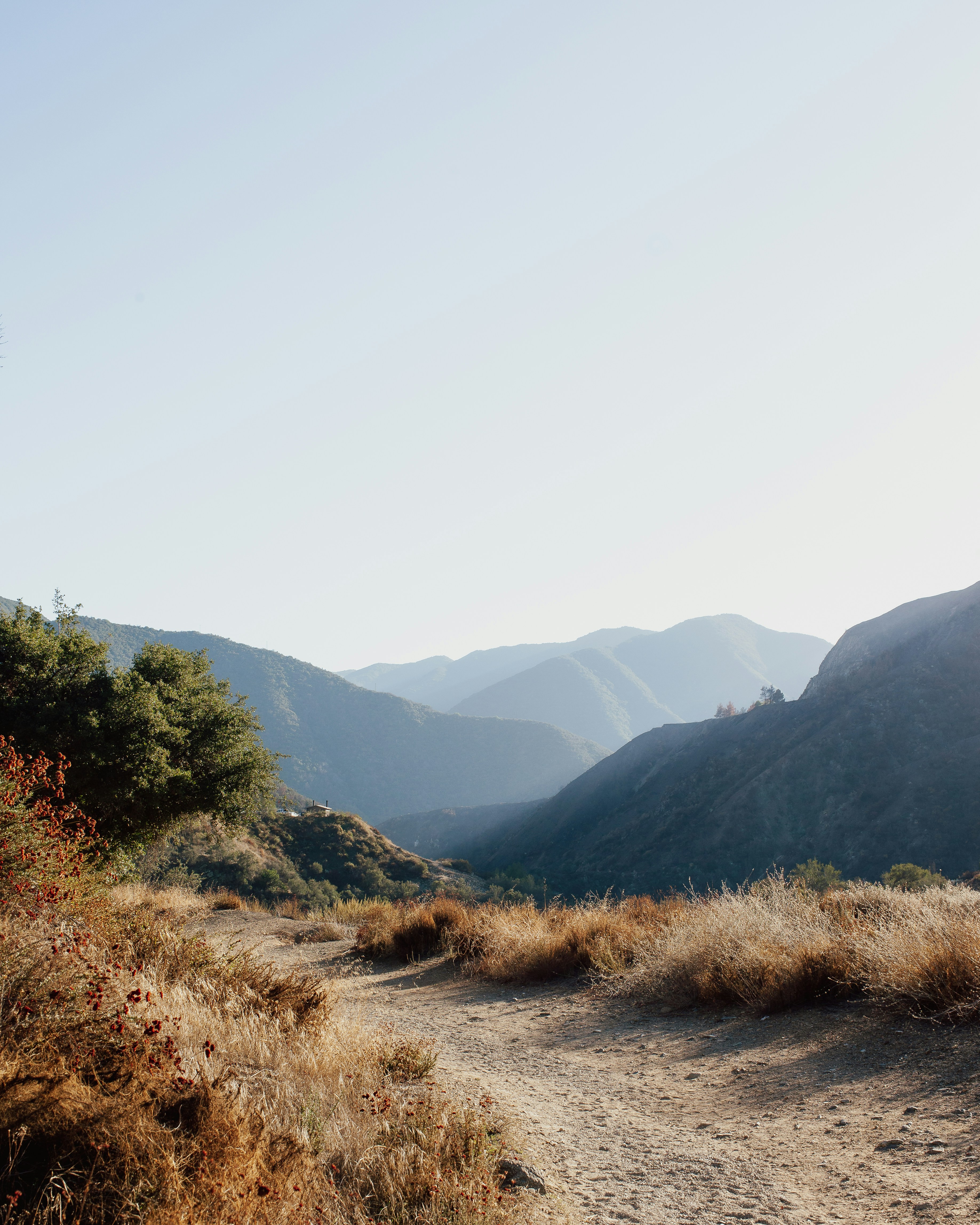 Photo by capturedbyjavi