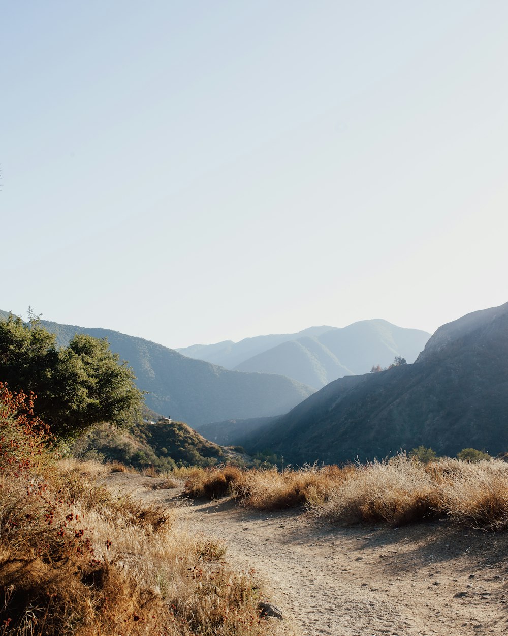 a dirt road in the mountains