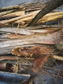 A collection of wooden logs and branches, some are intact while others are frayed or partially decomposed. The wood appears to be a mixture of different types, showing various shades and textures. The setting suggests an outdoor or natural environment, possibly indicating the wood is gathered or discarded.