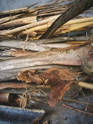 A collection of wooden logs and branches, some are intact while others are frayed or partially decomposed. The wood appears to be a mixture of different types, showing various shades and textures. The setting suggests an outdoor or natural environment, possibly indicating the wood is gathered or discarded.