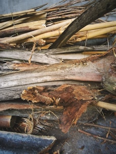 A collection of wooden logs and branches, some are intact while others are frayed or partially decomposed. The wood appears to be a mixture of different types, showing various shades and textures. The setting suggests an outdoor or natural environment, possibly indicating the wood is gathered or discarded.