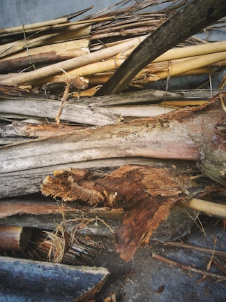 A collection of wooden logs and branches, some are intact while others are frayed or partially decomposed. The wood appears to be a mixture of different types, showing various shades and textures. The setting suggests an outdoor or natural environment, possibly indicating the wood is gathered or discarded.