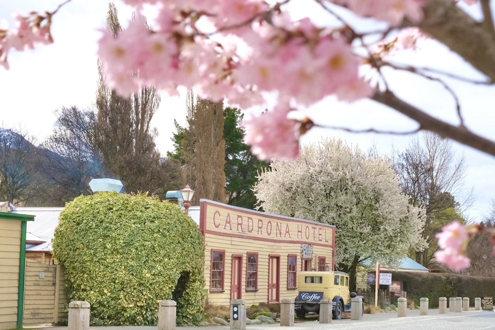 a building with pink flowers