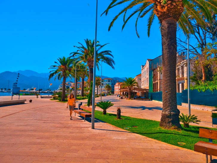 A sunny coastal promenade lined with tall palm trees and bordered by modern buildings. A person walks along the paved path surrounded by greenery. In the background, there are distant mountains and moored boats by the water.
